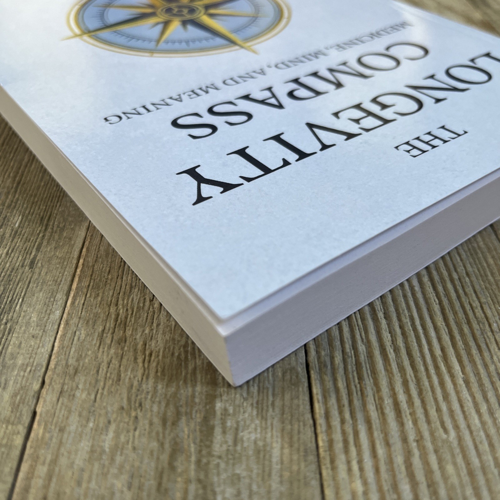 The Longevity Compass: Medicine, Mind, and Meaning by Gabriel Lasala – New