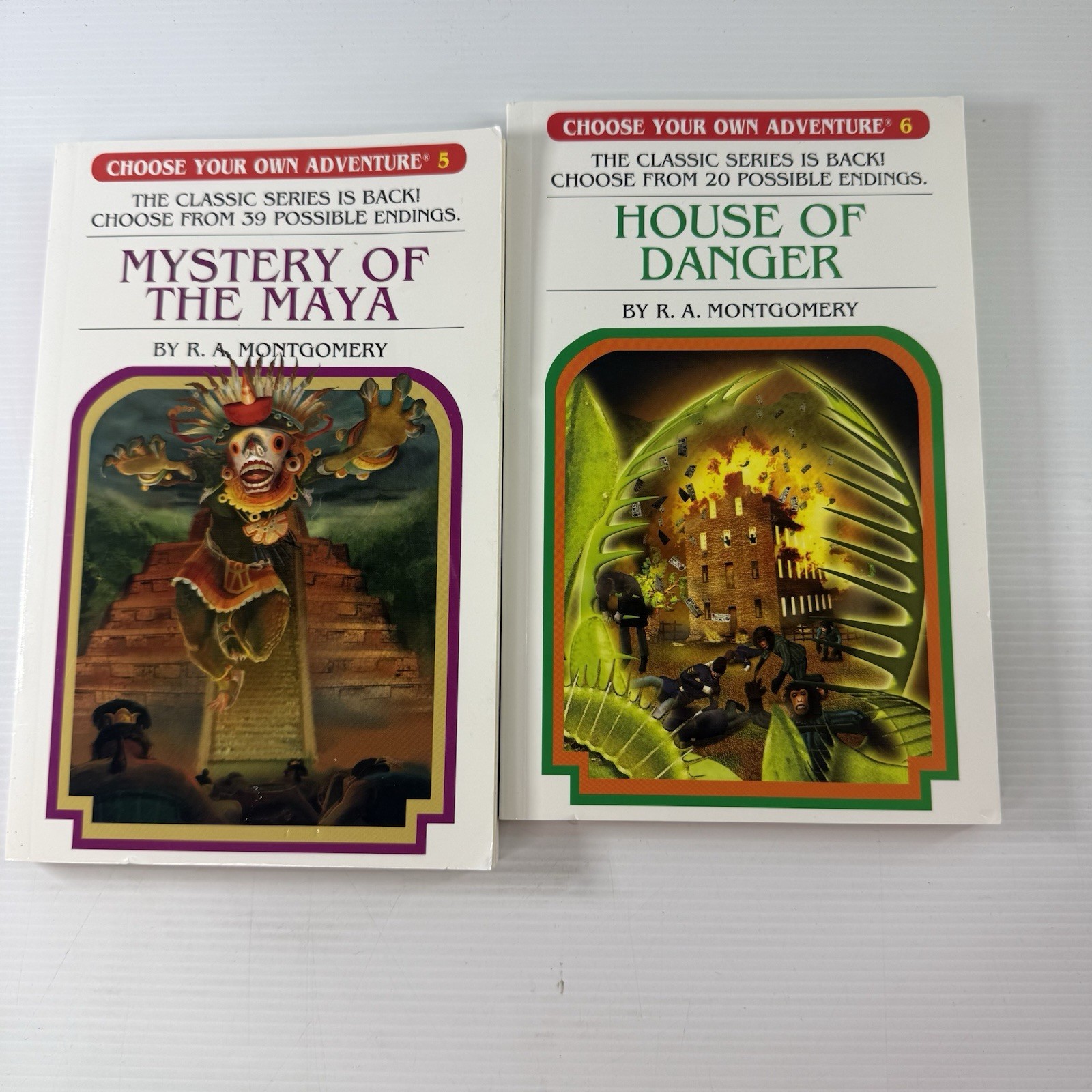 Choose Your Own Adventure Epic Collection 8 Book Box Set | R.A Montgomery