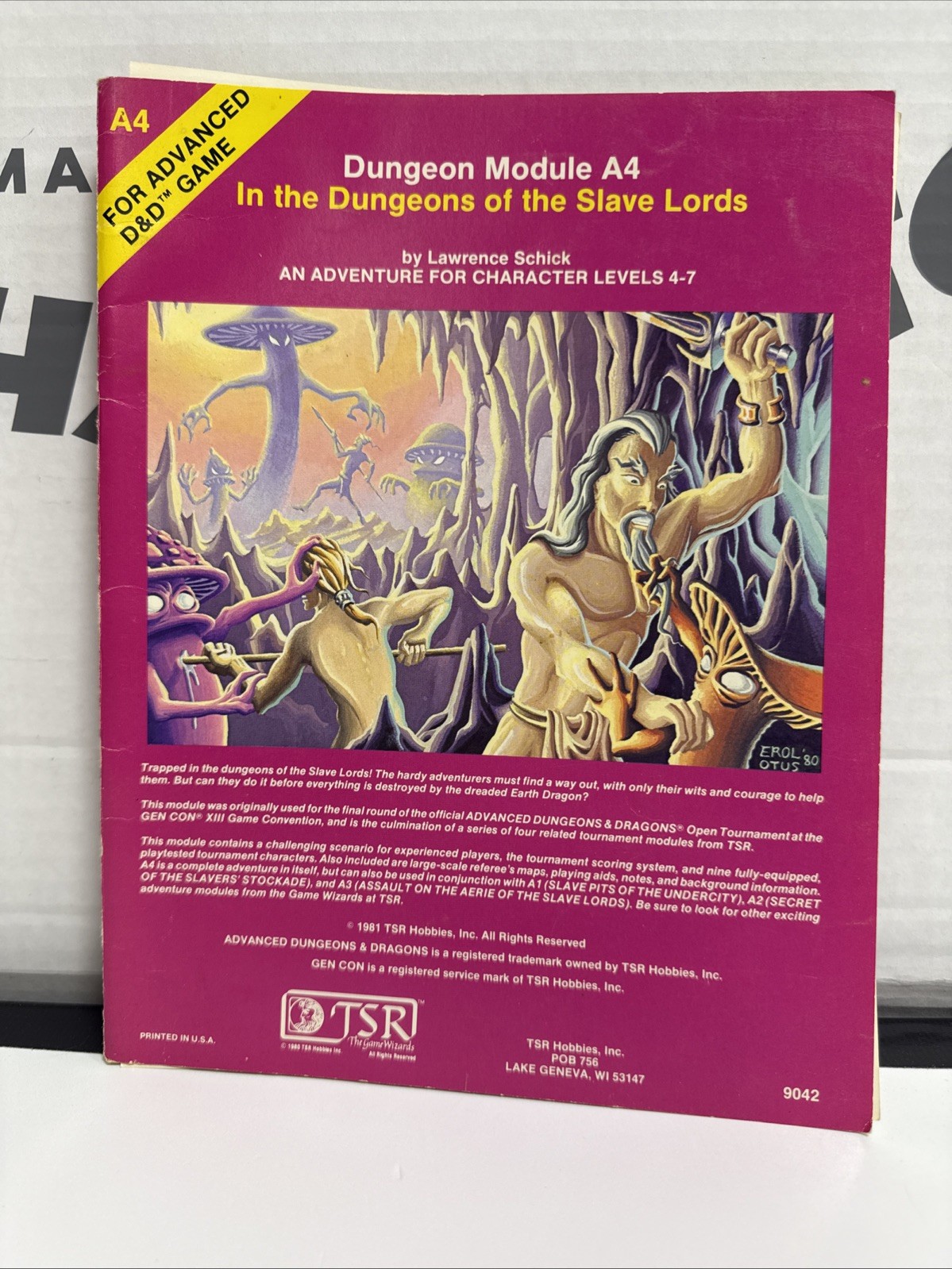 TSR D&D DUNGEON MODULE A4 IN THE DUNGEONS OF THE SLAVE LORDS 9042