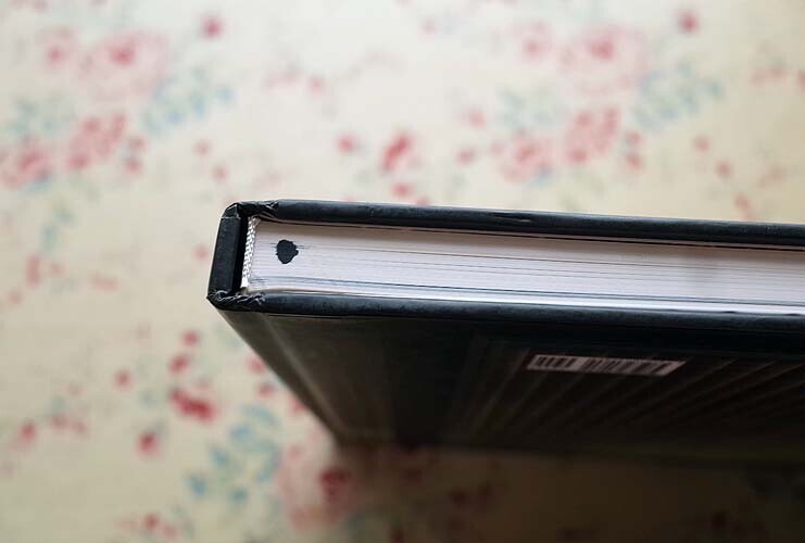 17277/Thomas Demand Photo Collection Thomas 2005 First Edition Conceptual Art