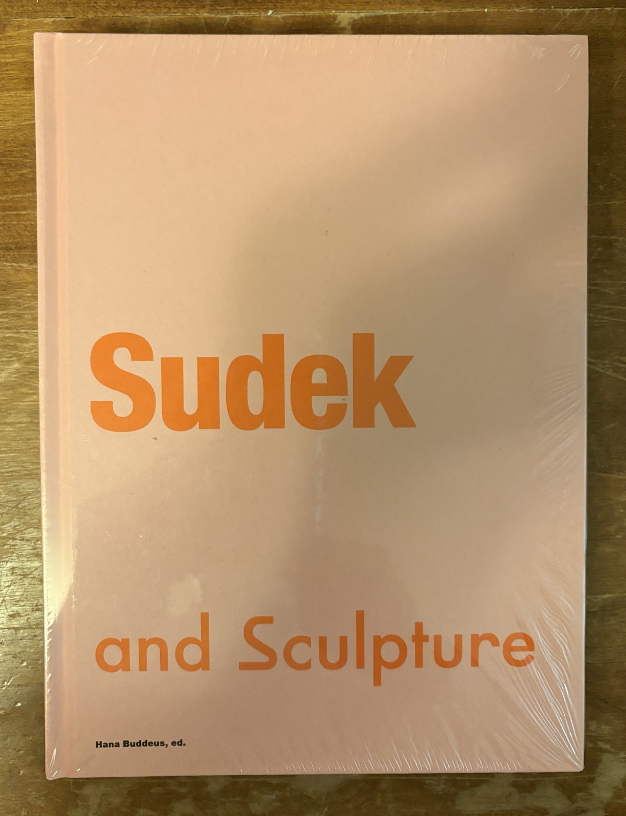 Sudek and Sculpture Hana Buddeus HC 2021 Art