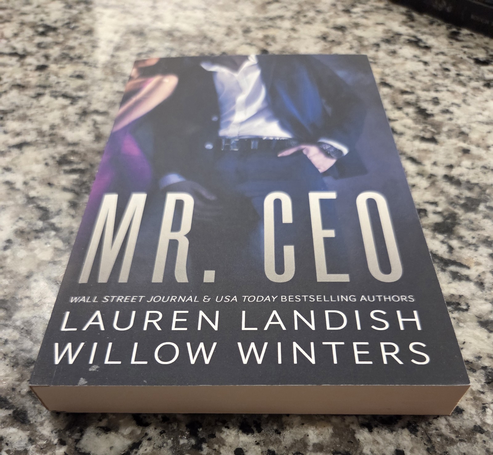 Mr. CEO Paperback Lauren Landish & Willow Winters Book