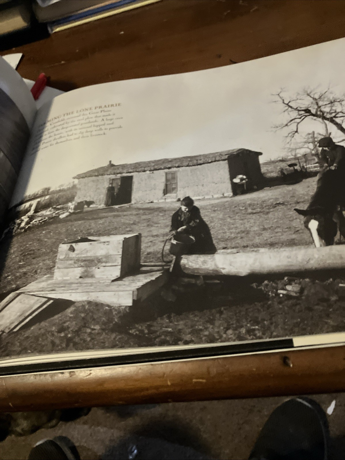 Frontier Family Life: A Photographic Chronicle of the Old West 127 Pages
