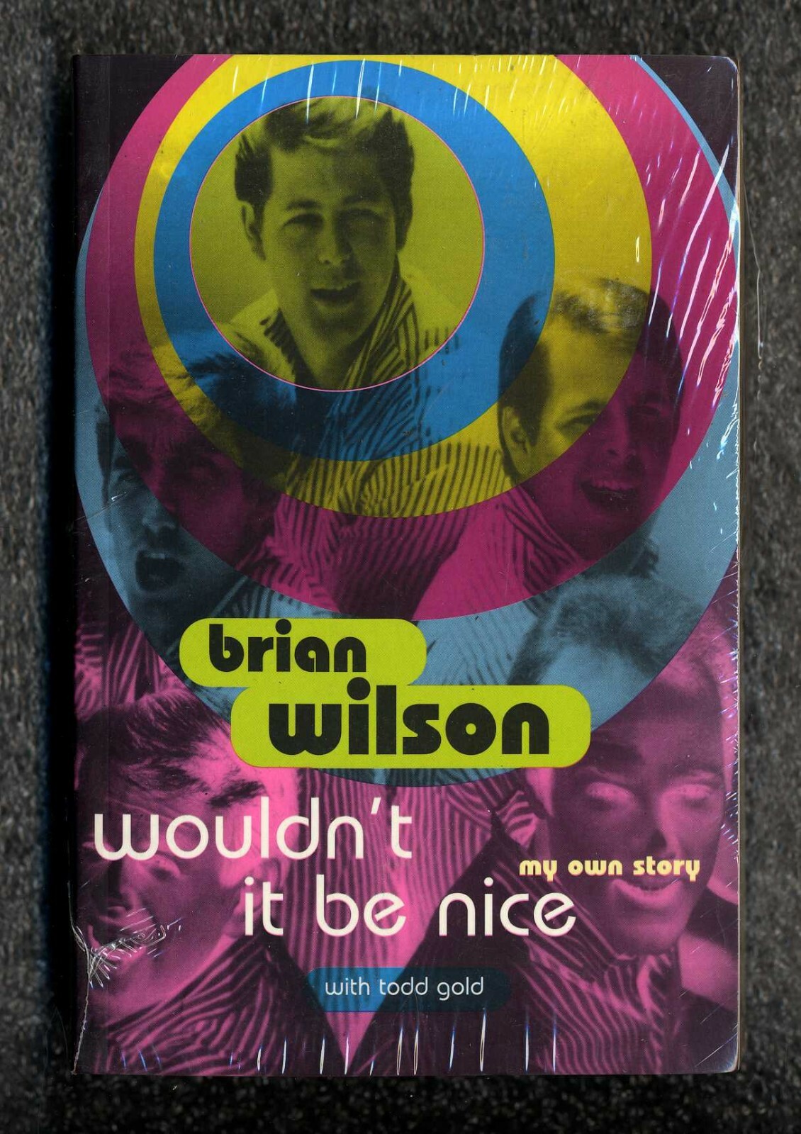 BRIAN WILSON – Wouldn’t It Be Nice – Todd Gold – Paperback 1996 Issue 398 Pages