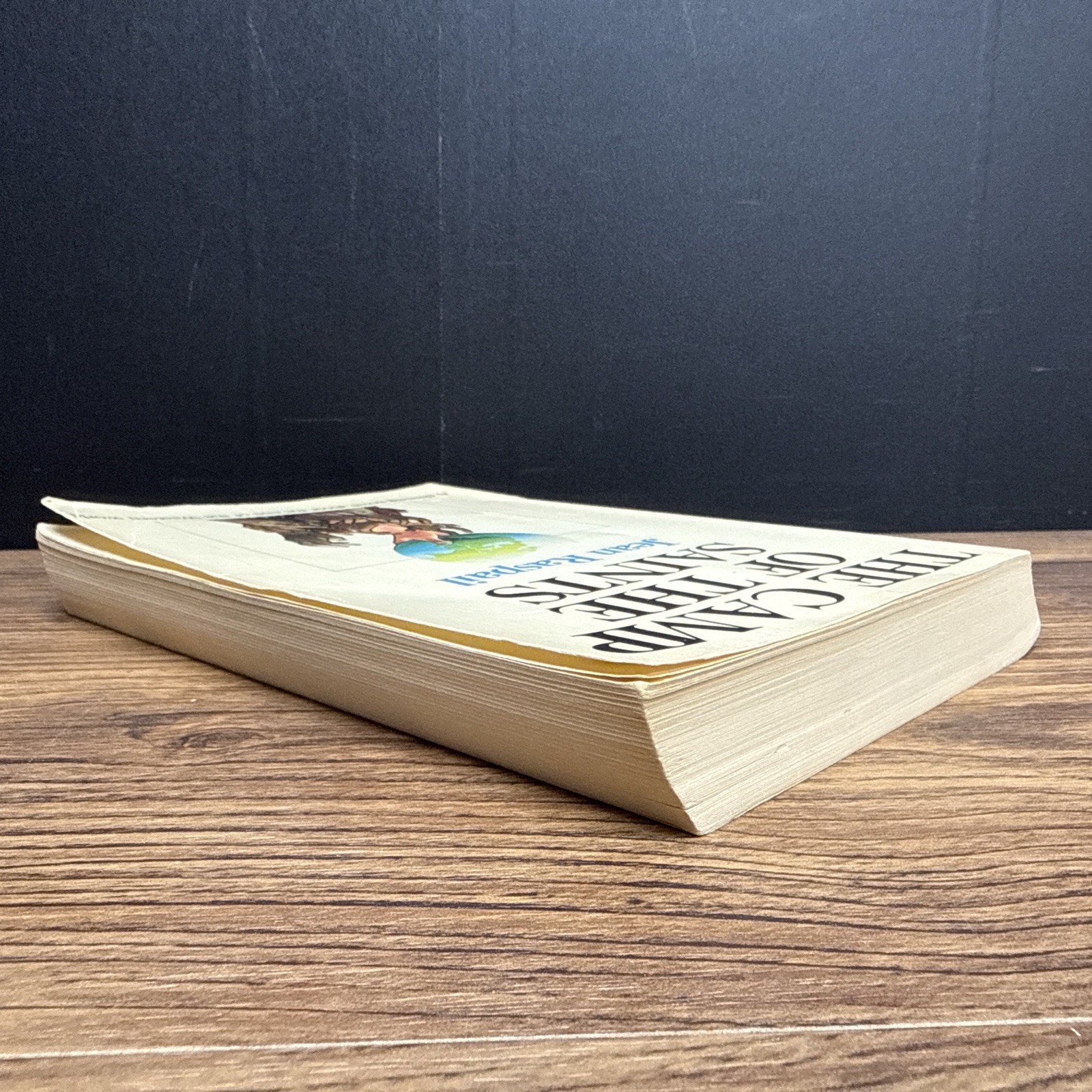 The Camp of the Saints by Jean Raspail ~ 1975 **PAPERBACK**