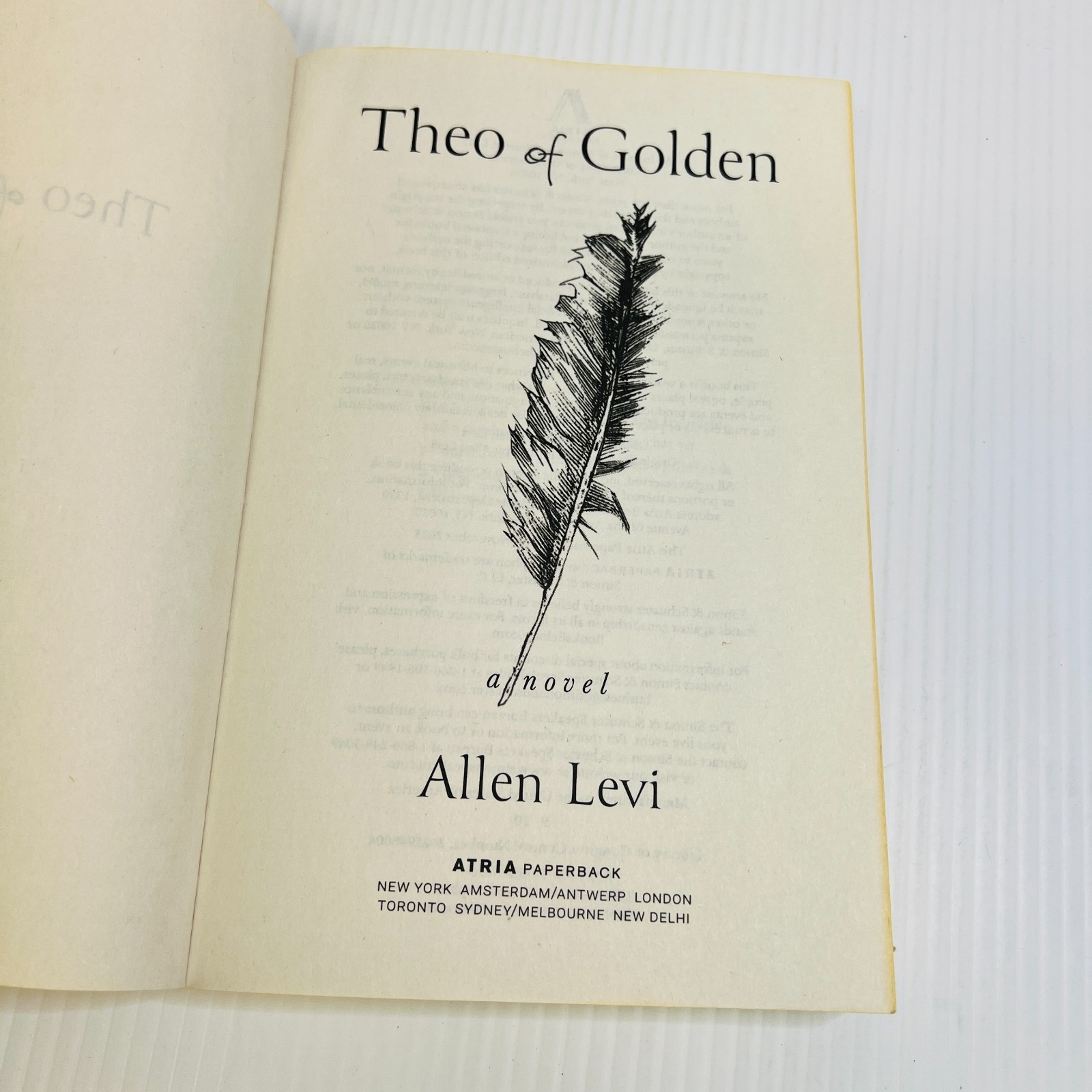 Theo of Golden: a Novel by Allen Levi