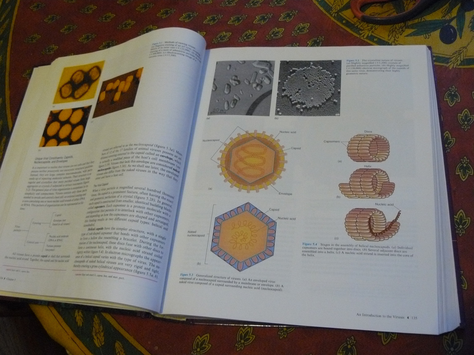 Foundations in Microbiology by Arthur Talaro and Kathleen Park Talaro 832 pages