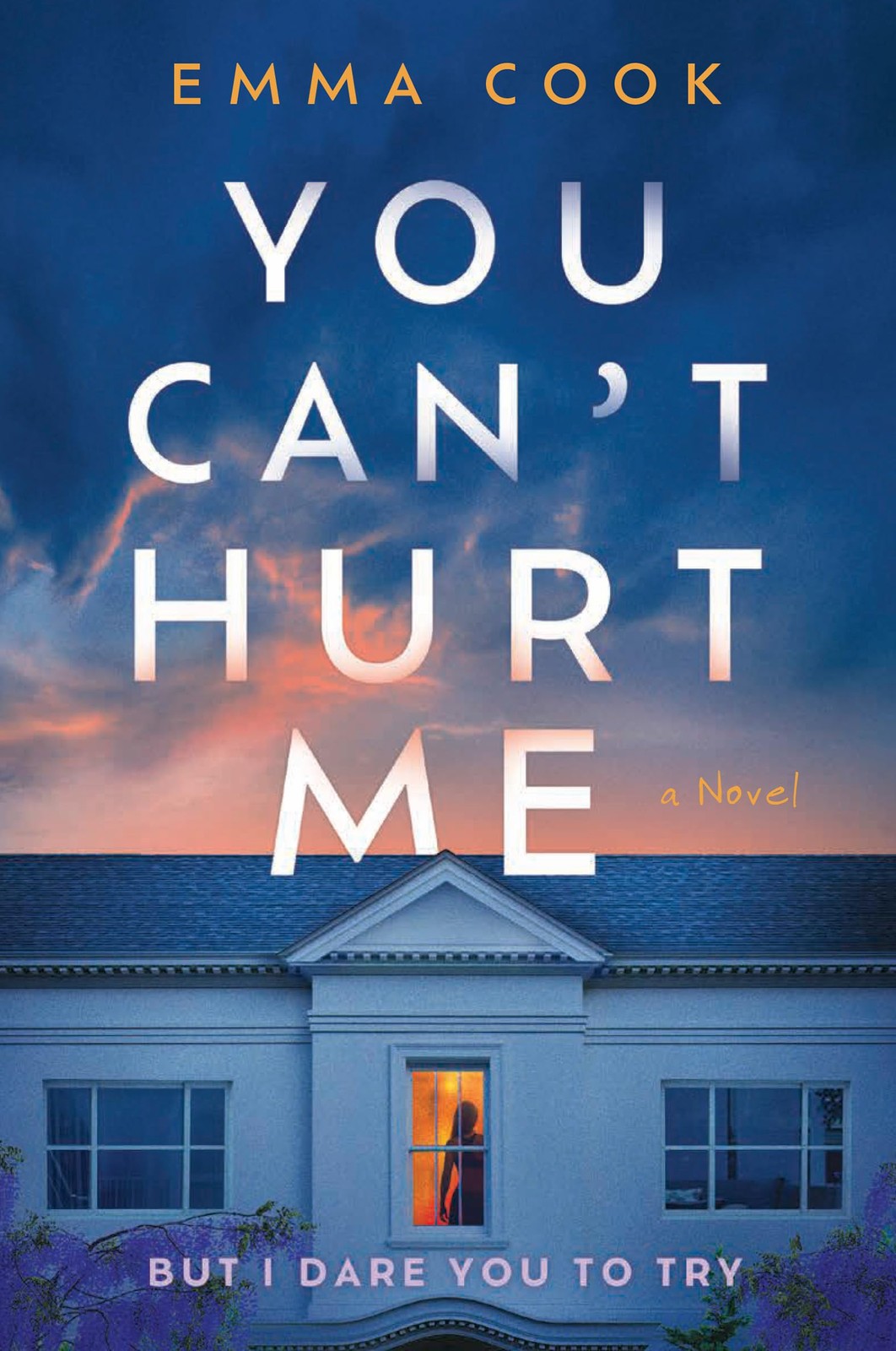 You Can’t Hurt Me: A Novel