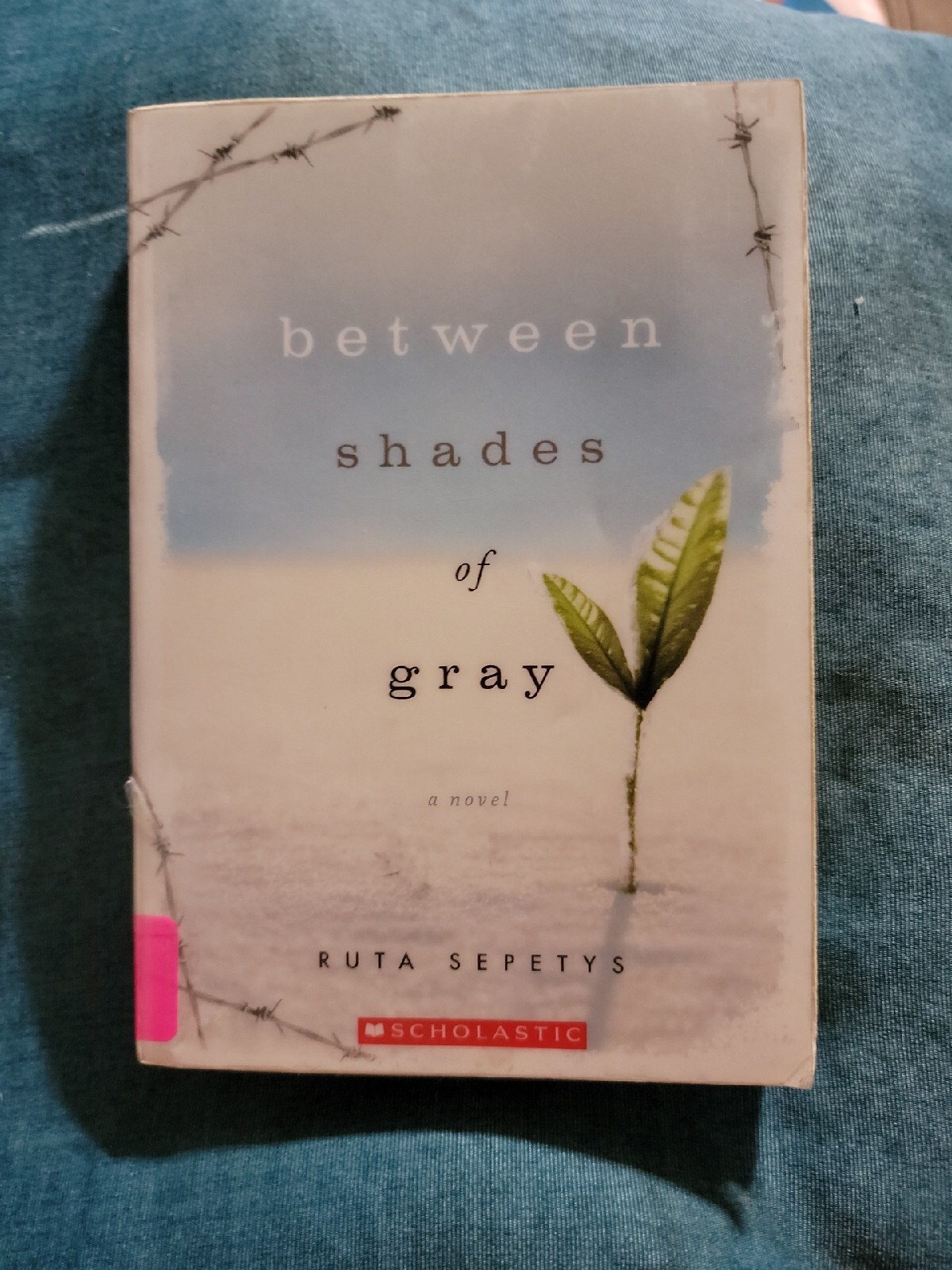 Between Shades of Gray