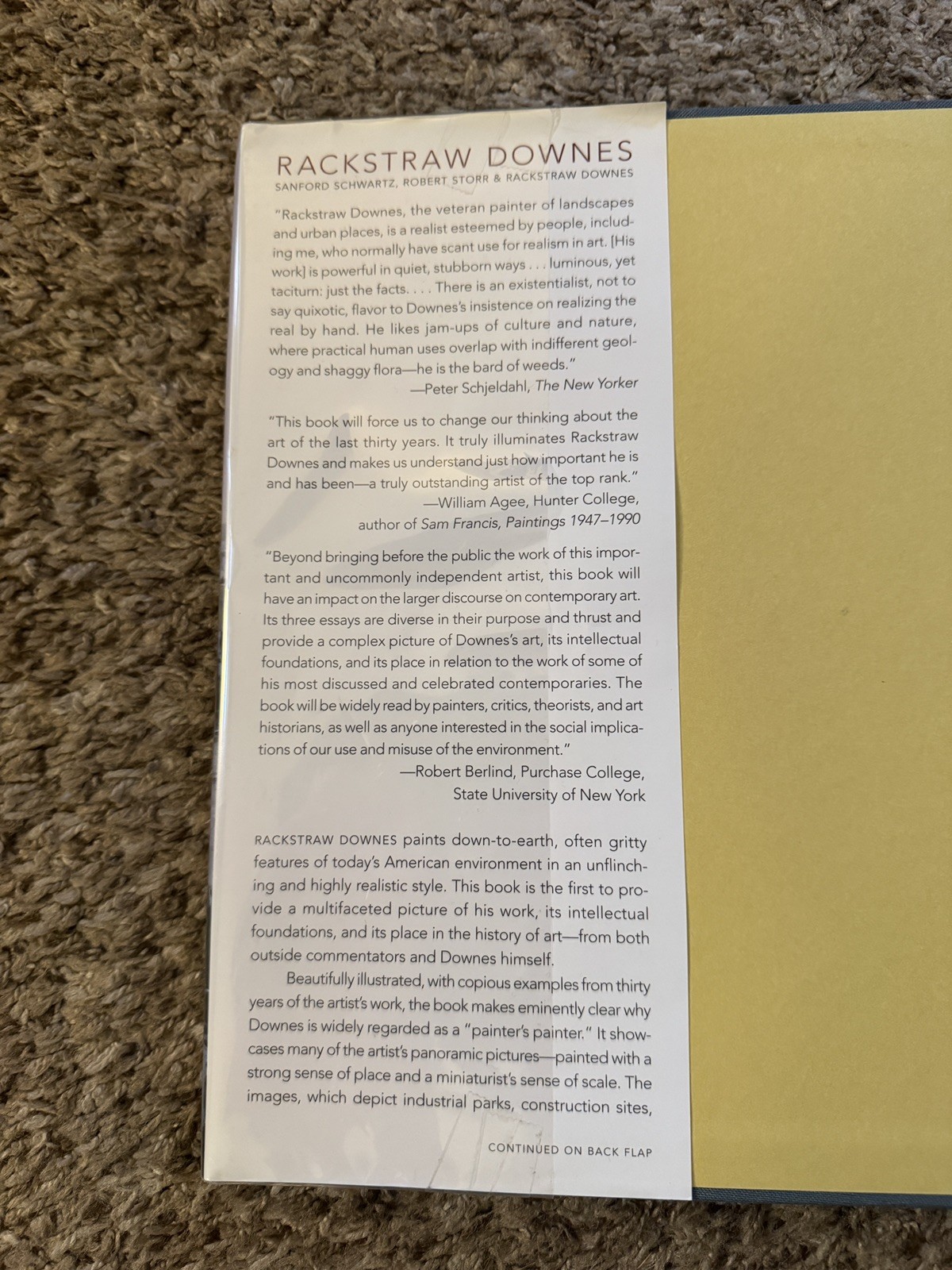 Rackstraw Downes (Schwartz/Storr, Princeton University Press) Ex Libris