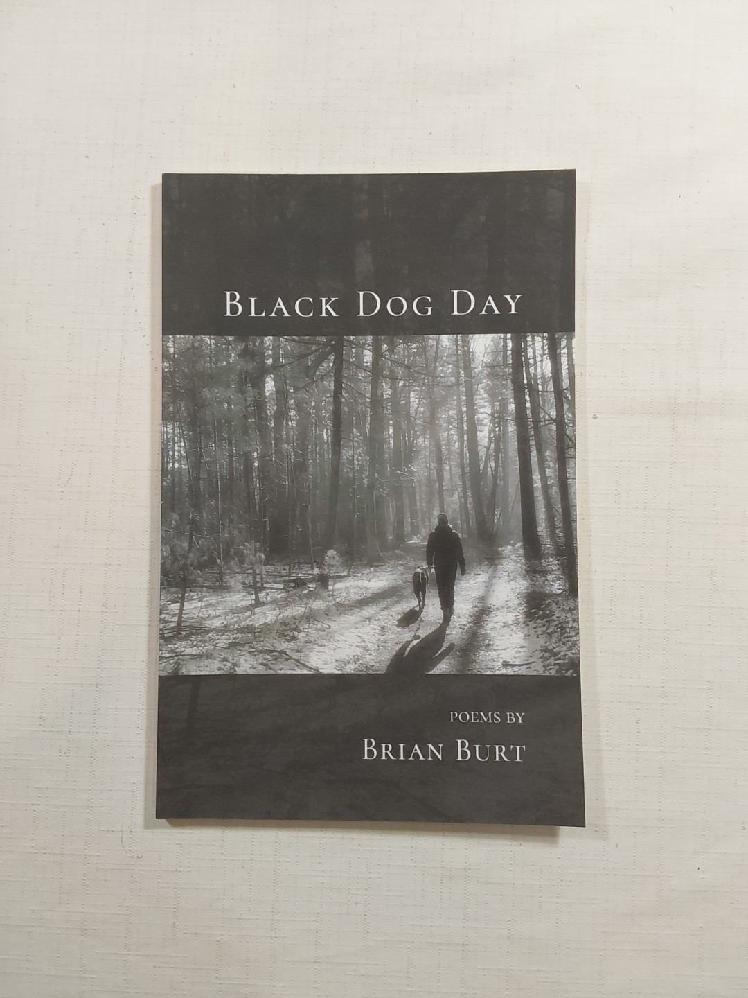 Black Dog Day by Burt, Brian [Paperback, 40 pages]