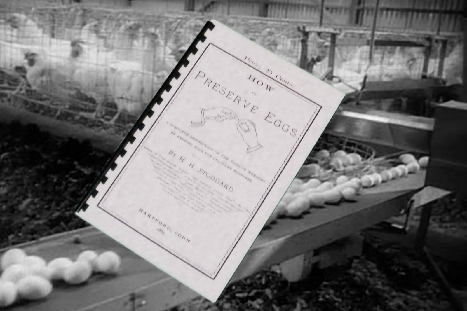 How To Preserve Eggs 1885 (48 Pages)