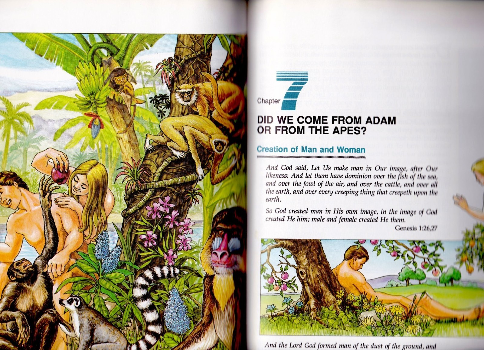NEW The Amazing Story of Creation, Duane T Gish, 1990, HC, 9 x 11.25, 112 pages