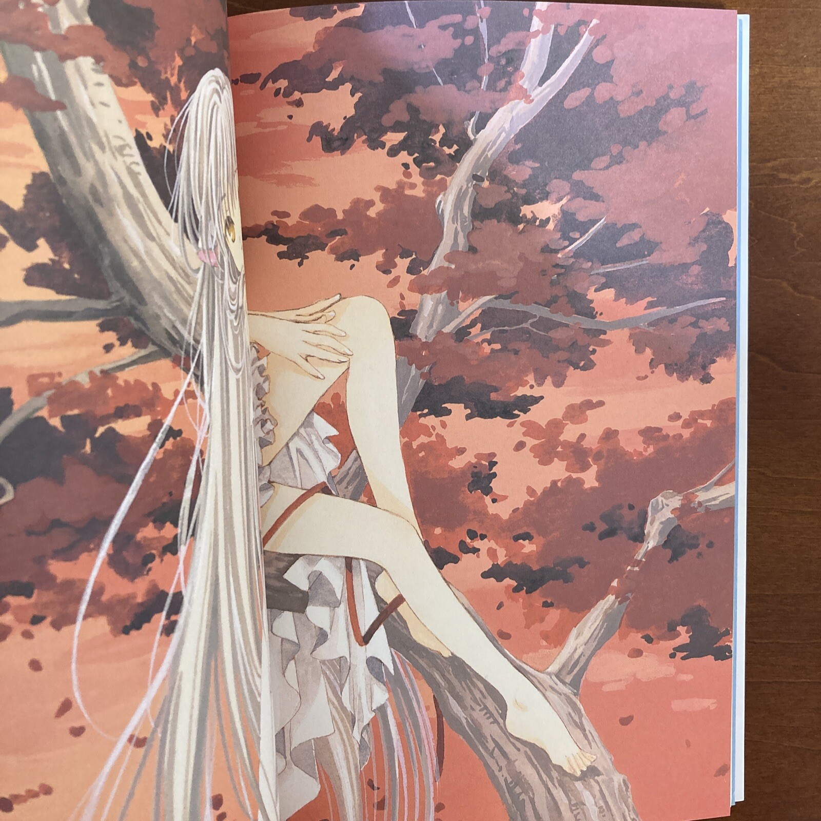 Clamp Chobits Chi Photographics Your Eyes Only Art Book Illustration Anime Manga