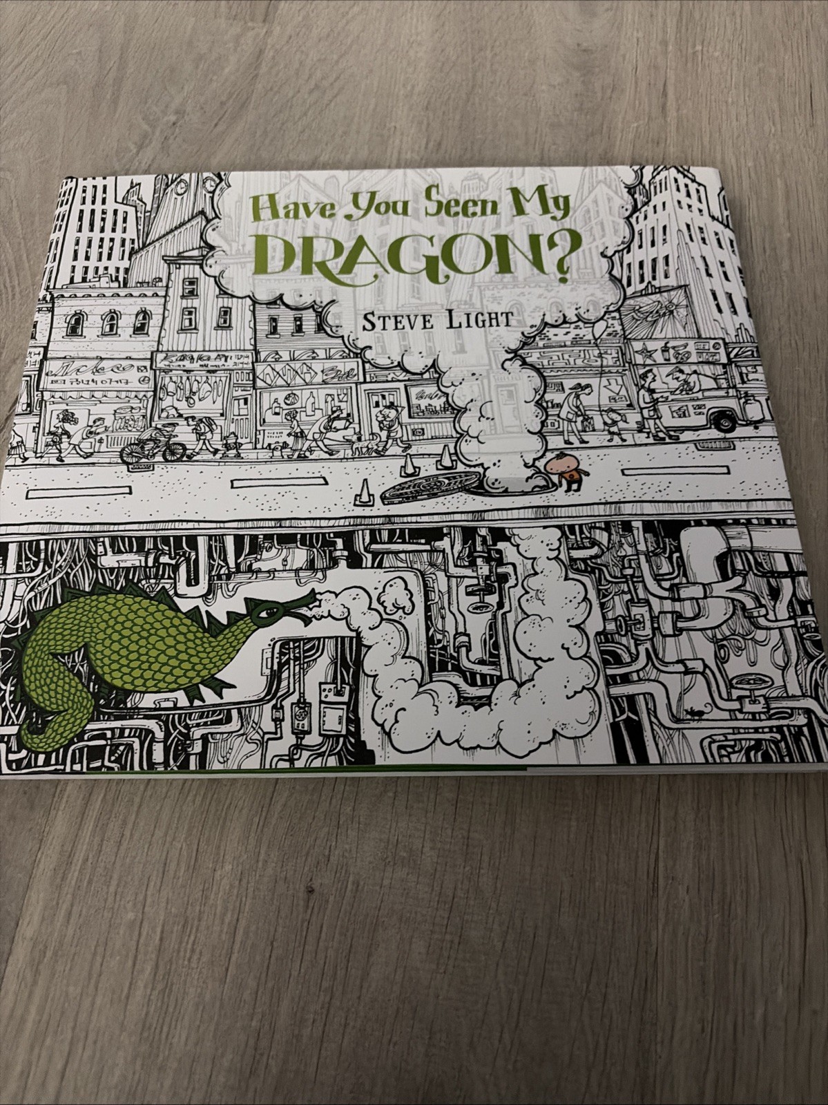 Have You Seen My Dragon? by Steve Light (2014, Picture Book)