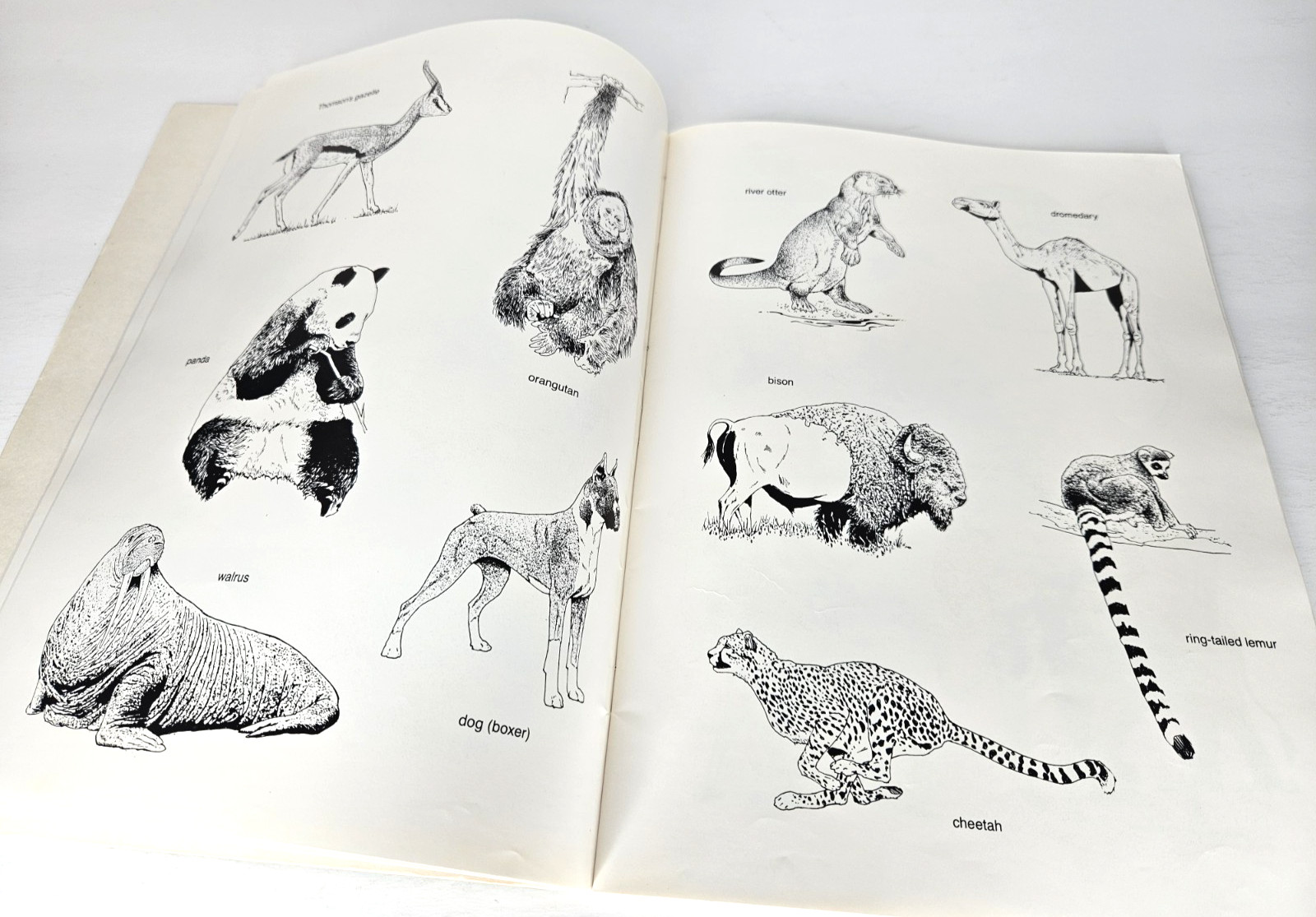 Dover Clip Art Ready-to-Use Animal Illustrations 161 Different Copyright Free