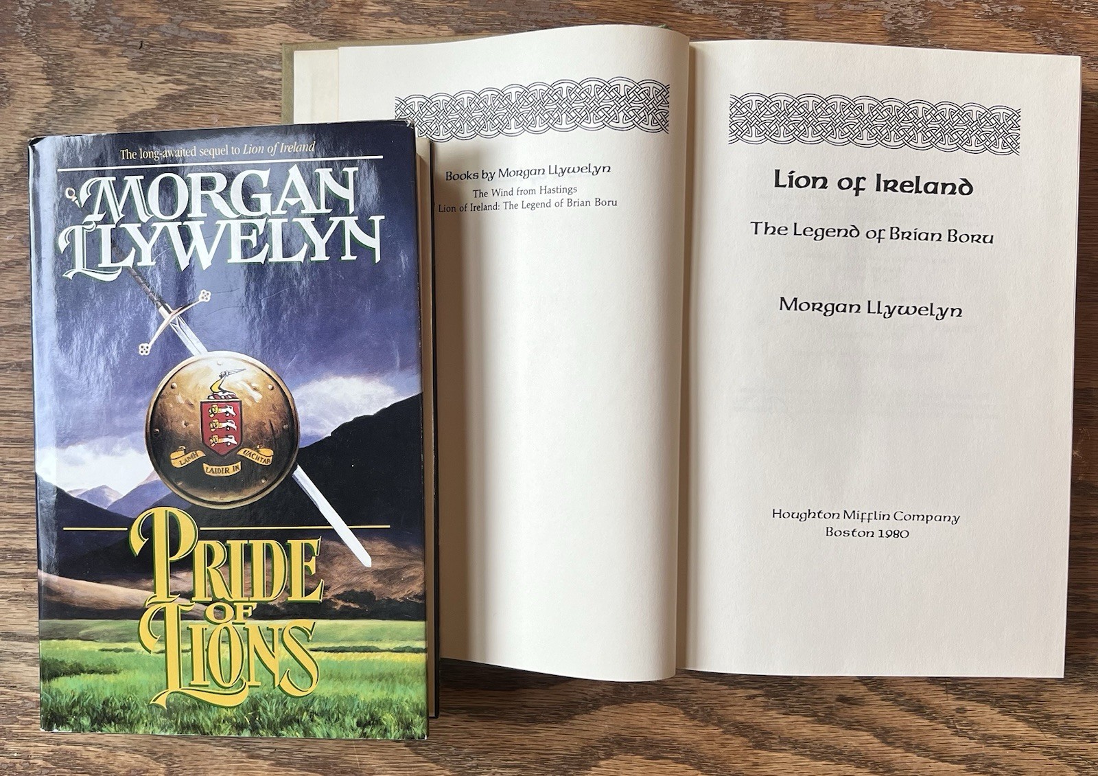 Morgan Llywelyn: two hardback books, Historical fiction: Lion of Ireland 1st Ed