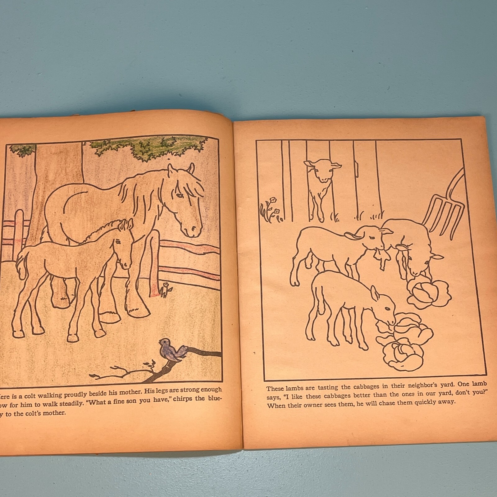 1936 Giant Farmyard Coloring Book – Partially Colored – 14 by 11 inches!