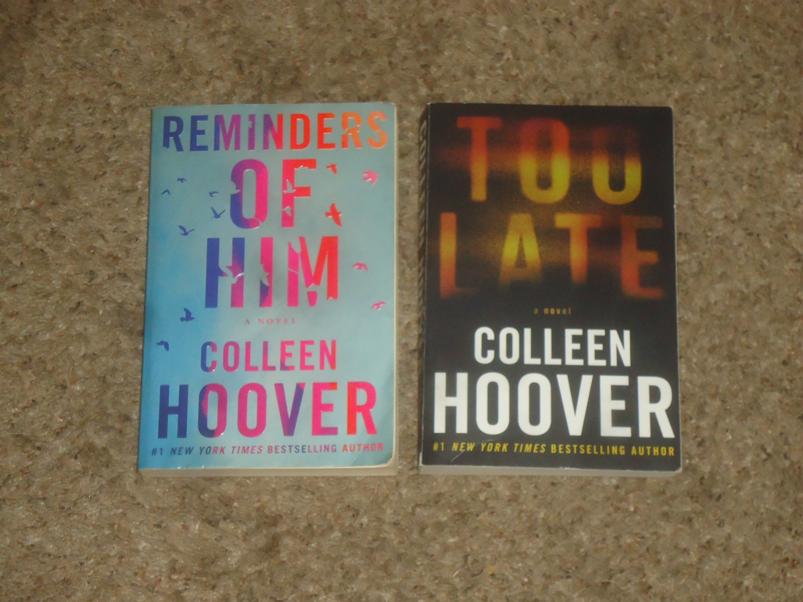 Lot 19 Colleen Hoover Novels It Ends with Us Starts Maybe Someday Hopeless Trade