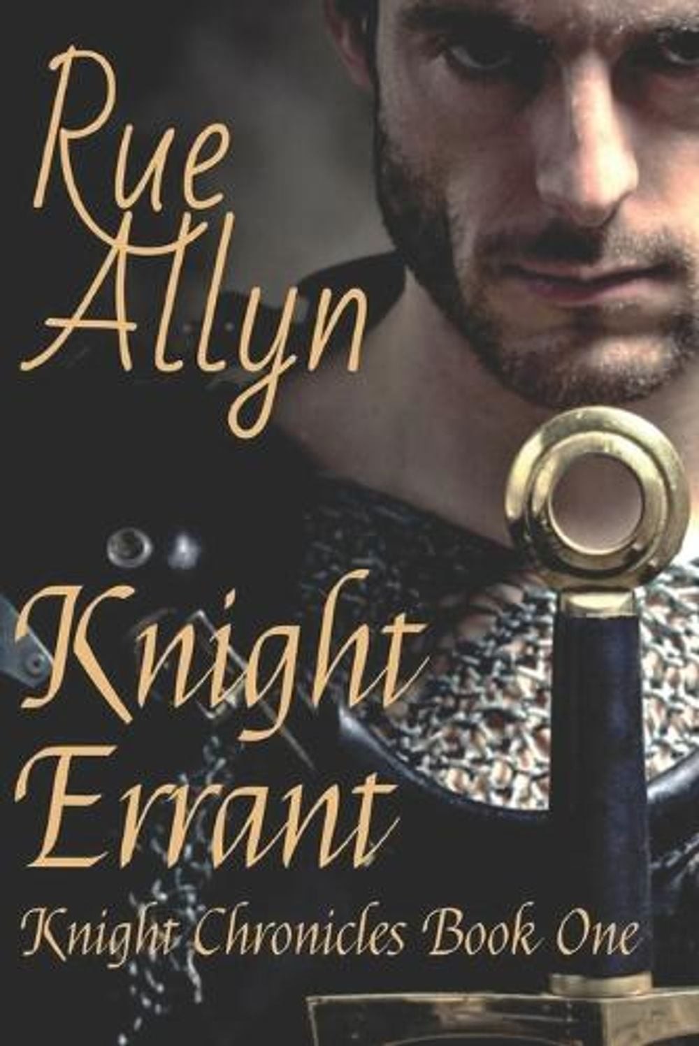 Knight Errant by Rue Allyn (English) Paperback Book