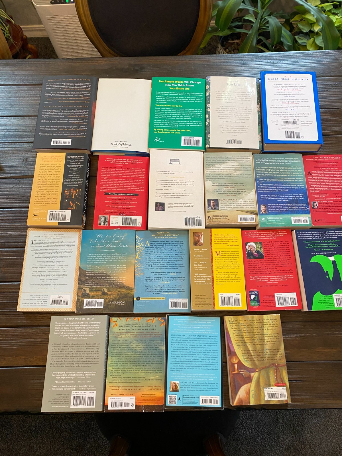 21 Book Lot Literary Fiction Book Club Novels Atwood Backman Towles More