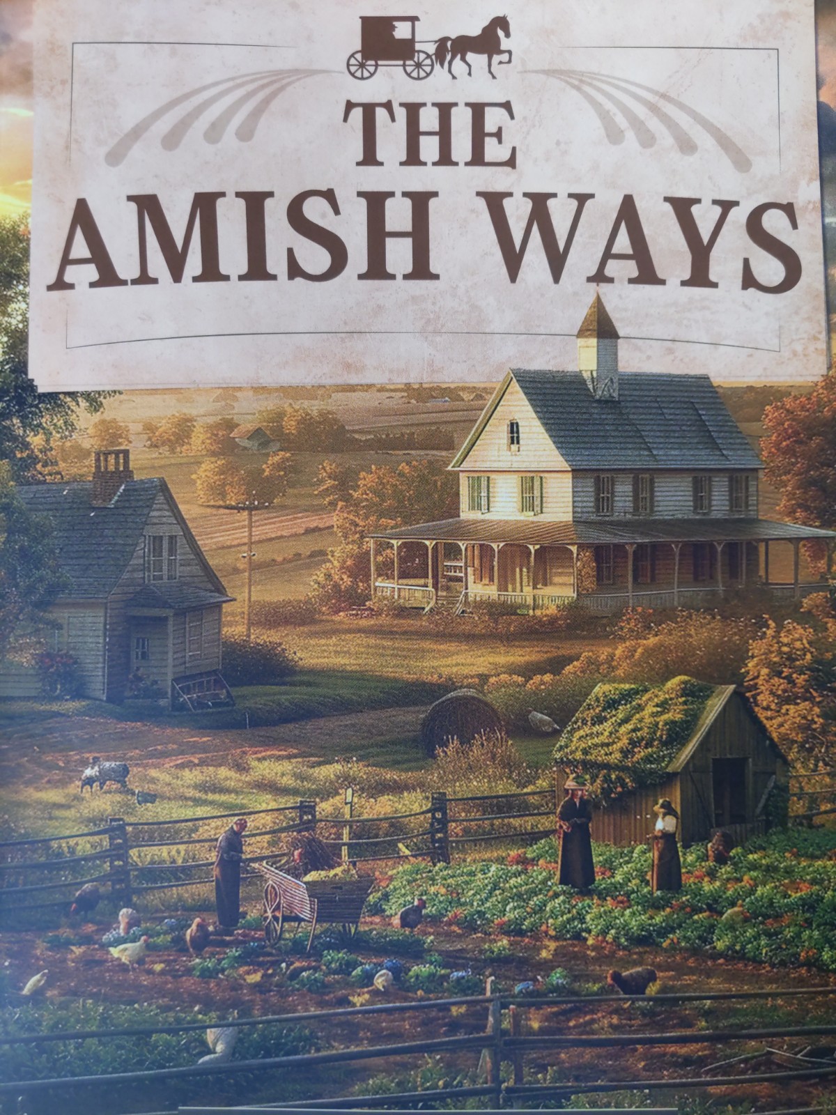 The Amish Ways (paperback with color pictures)