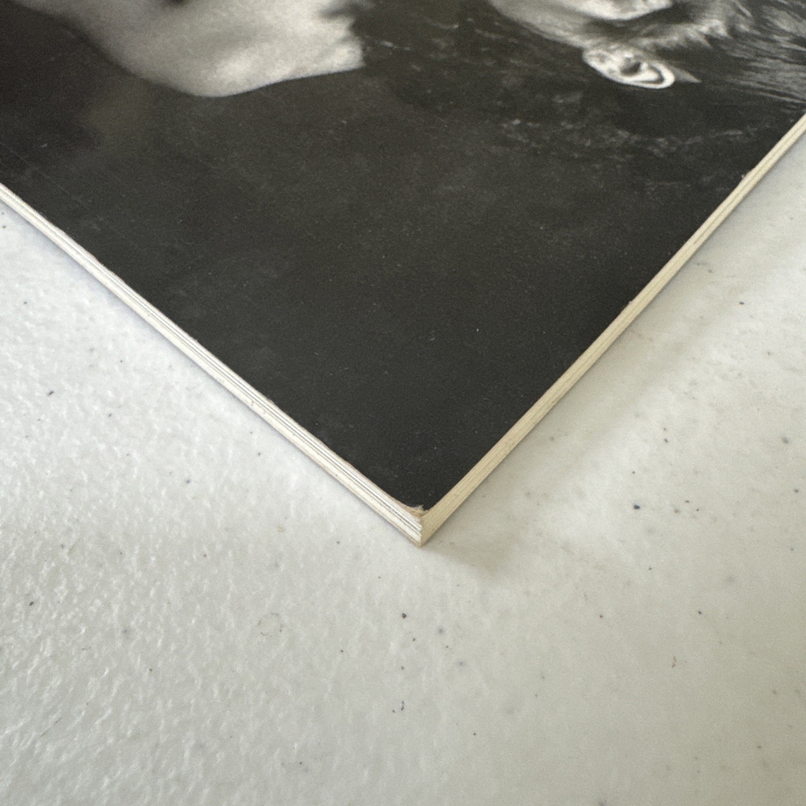 Madonna by M. Schreiber (1992, Trade Paperback)