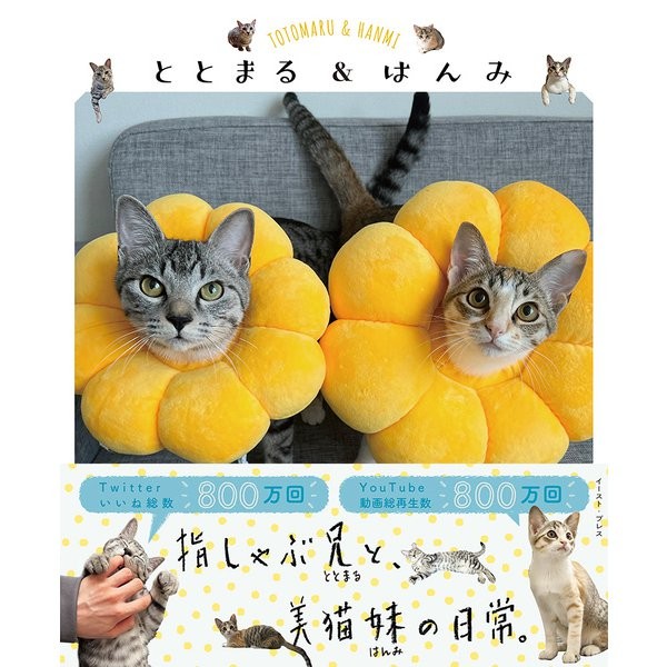 Totomaru & Hanmi Hardcover Anime Manga Character Book Excellent For Ages 14+