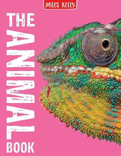 The Animal Book: 160 Pages Pac – VERY GOOD