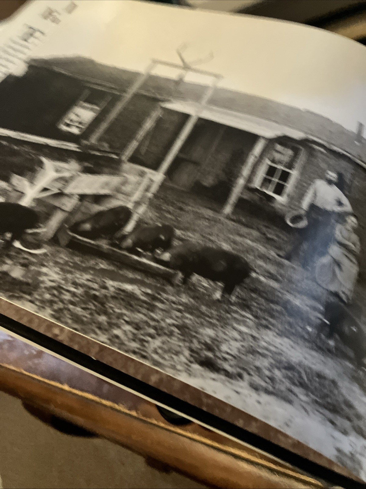 Frontier Family Life: A Photographic Chronicle of the Old West 127 Pages