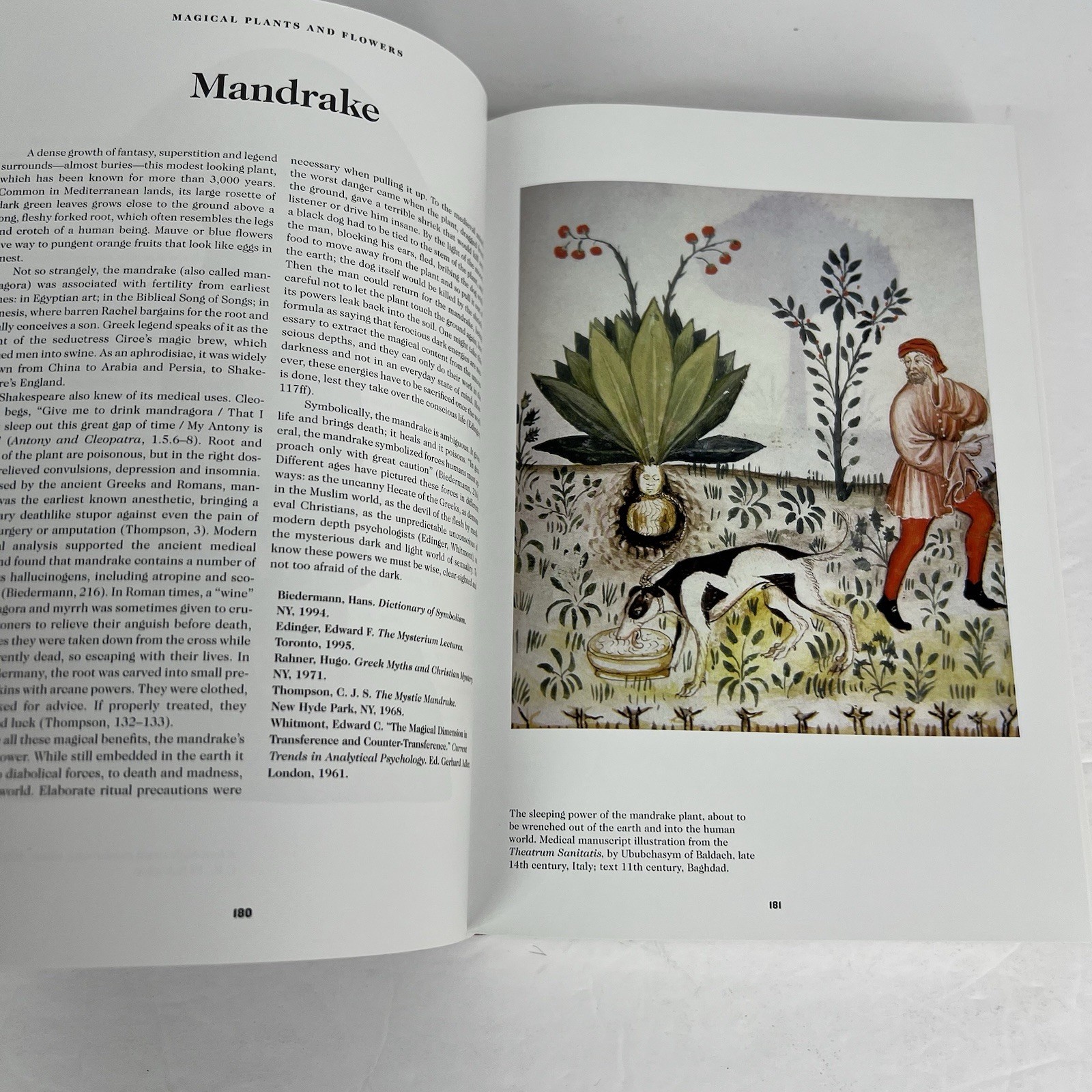 The Book of Symbols Reflections on Archetypal Images Ami Ronnberg Taschen HC