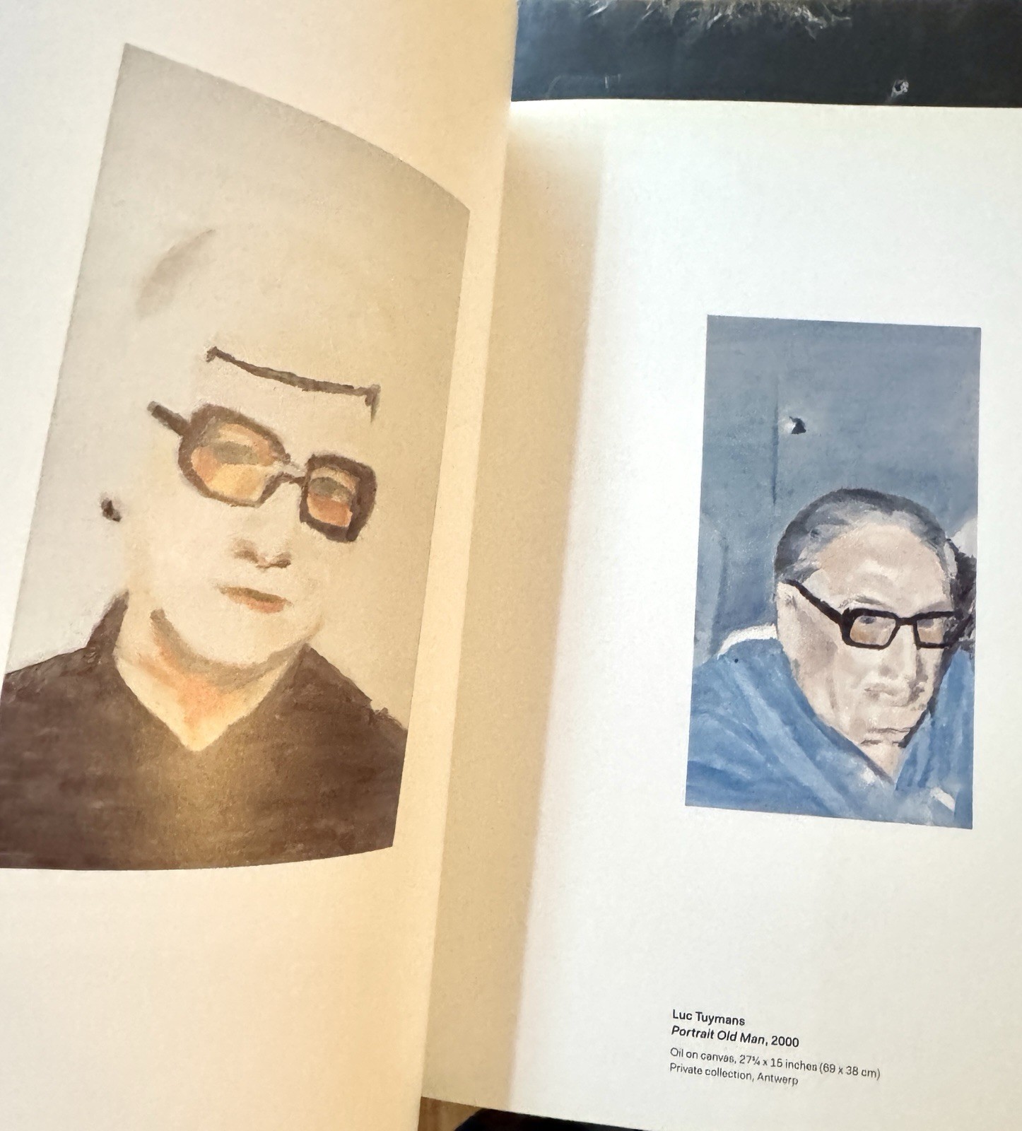 Portraits: Luc Tuymans by Robert Storr (2013, Hardcover); 1st Ed. Out of Print