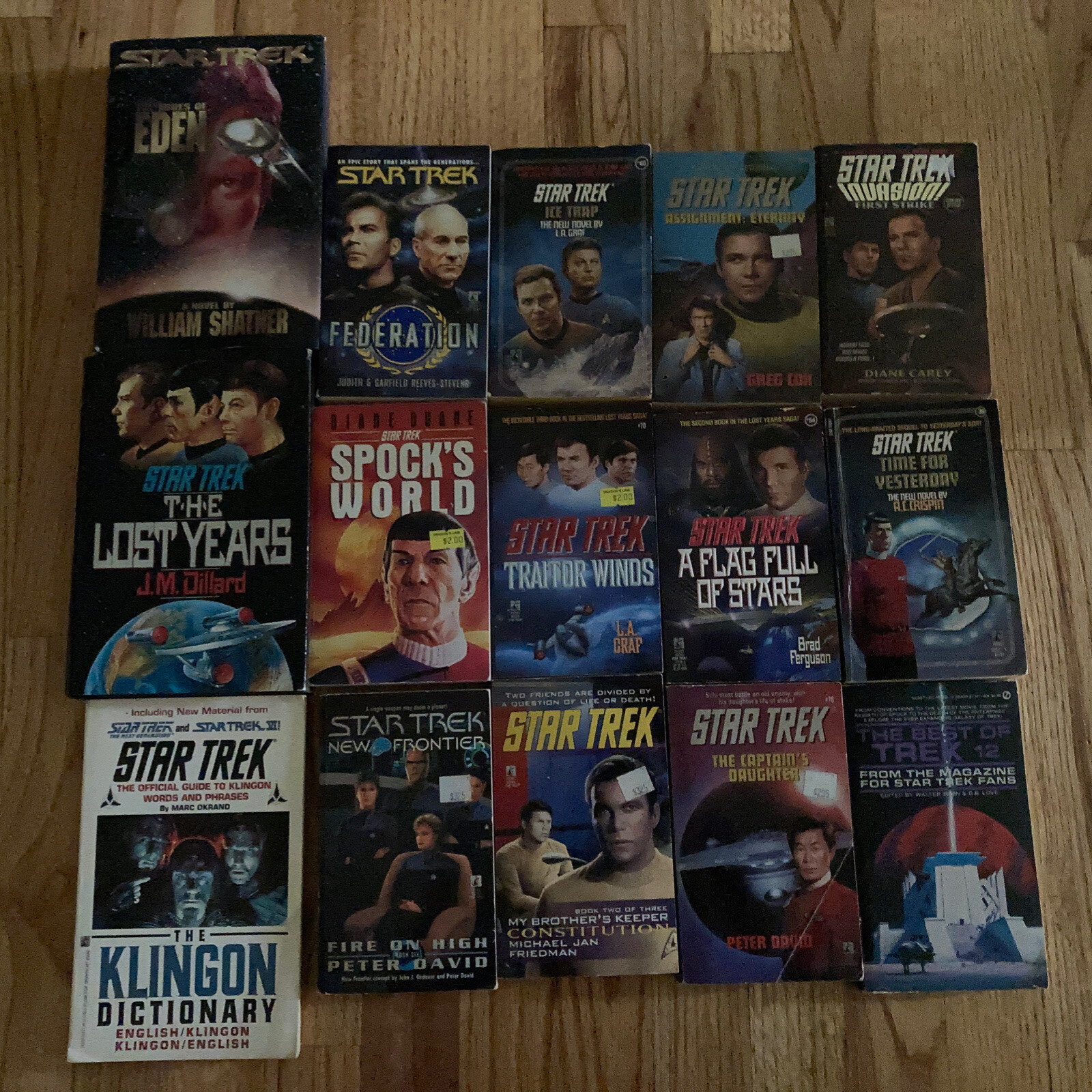 Huge Star Trek Book lot (15) Friedman Dillard Reeves-Stevens Duane Spock Kirk