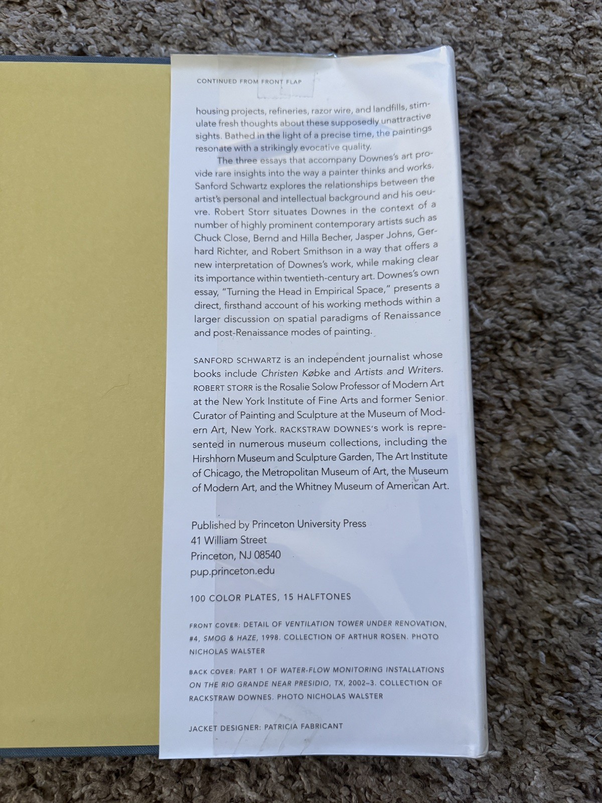 Rackstraw Downes (Schwartz/Storr, Princeton University Press) Ex Libris