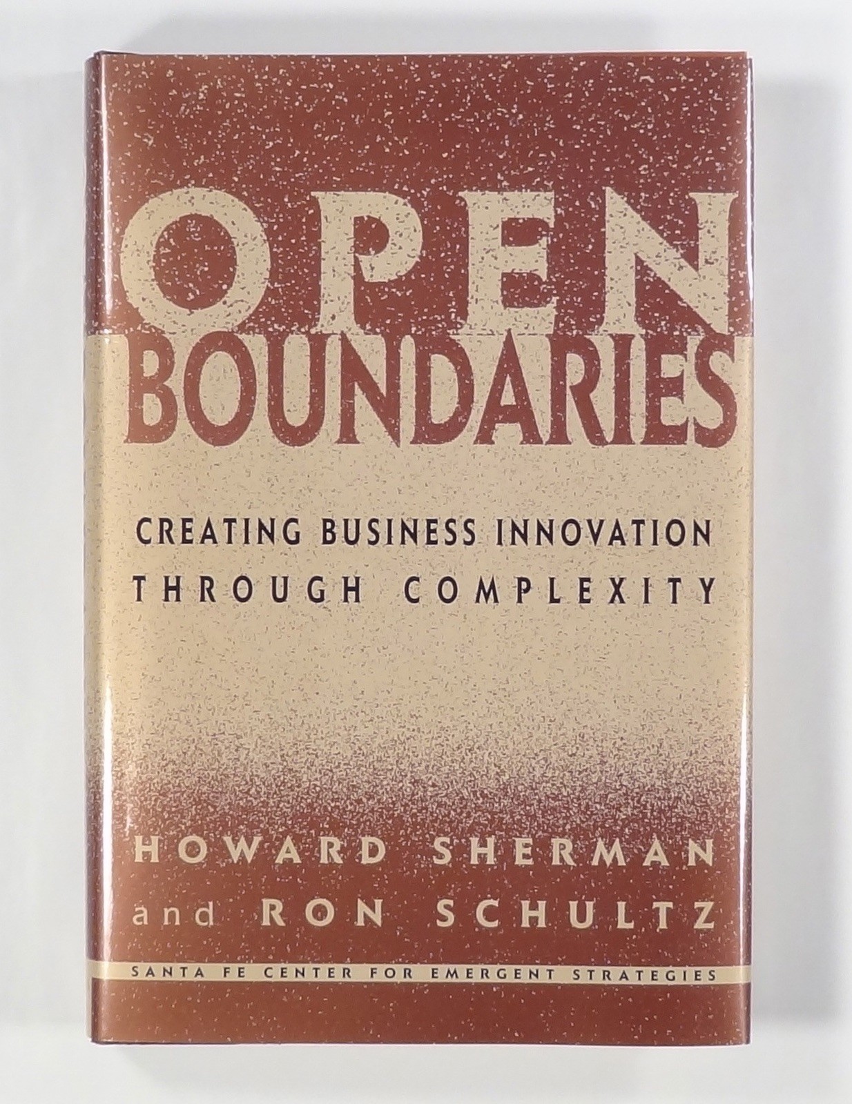 1998 OPEN BOUNDARIES complexity BUSINESS innovation emergence co-evolution FIRST