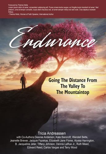 Endurance: Going The Distance From The Valley To The Mountaintop (Warrior) pap
