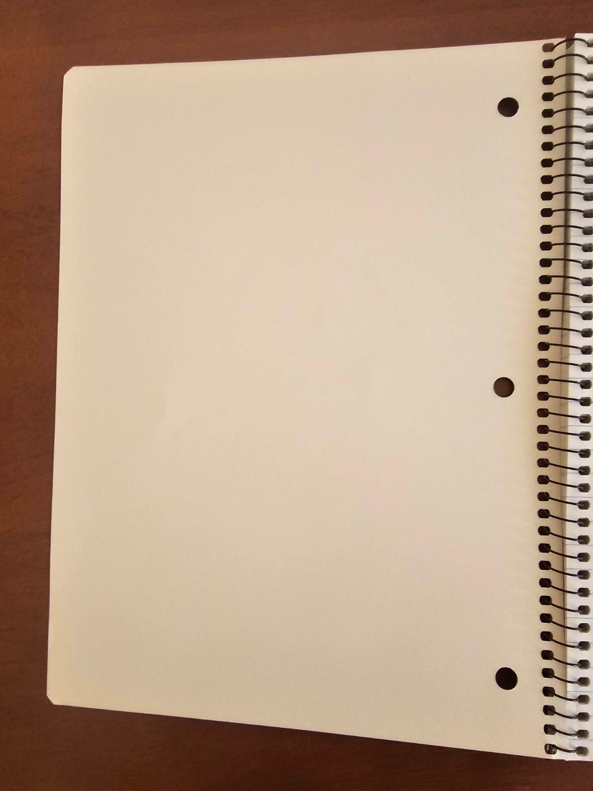 Disney XD Phineas And Ferb 1 Subject Notebook -80 pages 10.5 in X 8 in. -NEW!