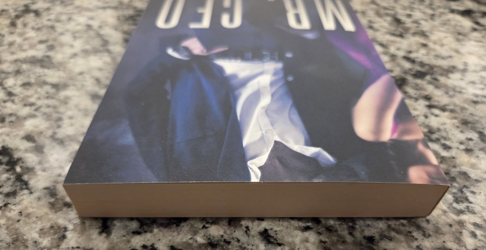 Mr. CEO Paperback Lauren Landish & Willow Winters Book