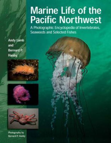 Marine Life of the Pacific Northwest: A Photographic Encyclopedia of Invertebrat