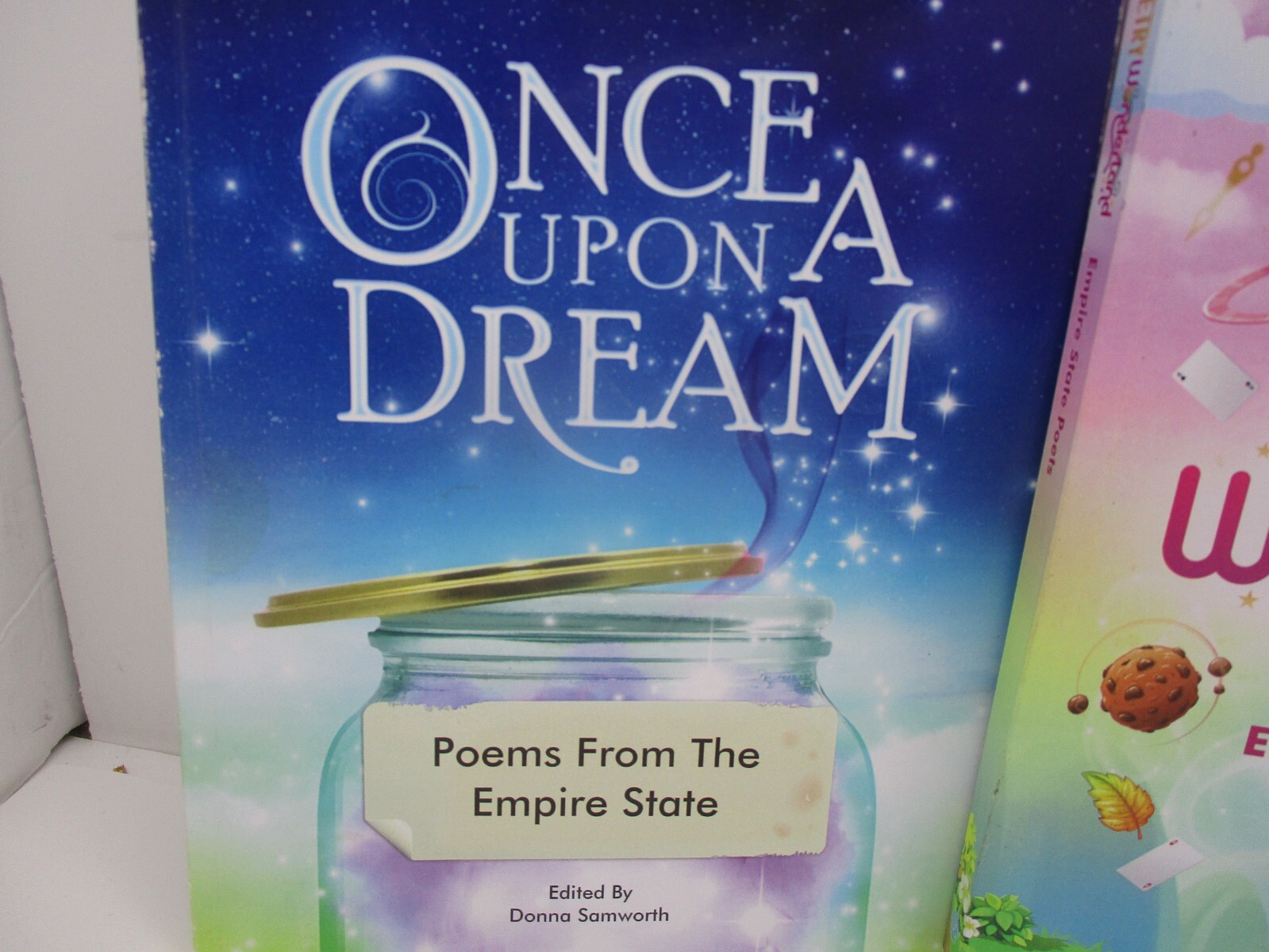 3 New York State Poetry Story Books, Spooky Sagas, Poetry Wonderland, Etc