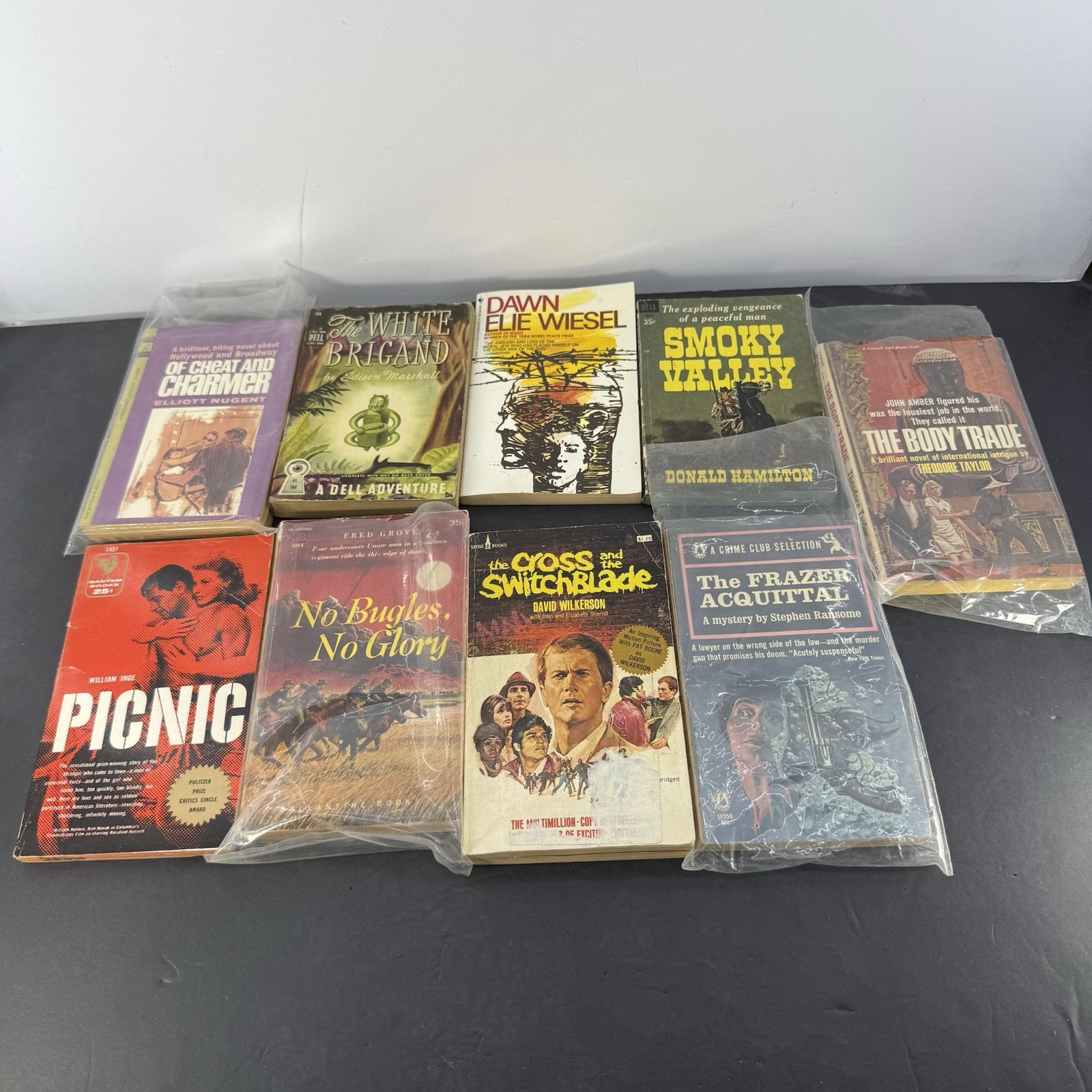 Vintage Paperback Fiction Lot Picnic Elie Wiesel Noir Mystery Drama Pulp