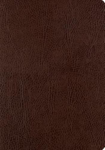 ESV Single Column Journaling Bible, Large Print (Bonded Leather, Mocha): Holy ..