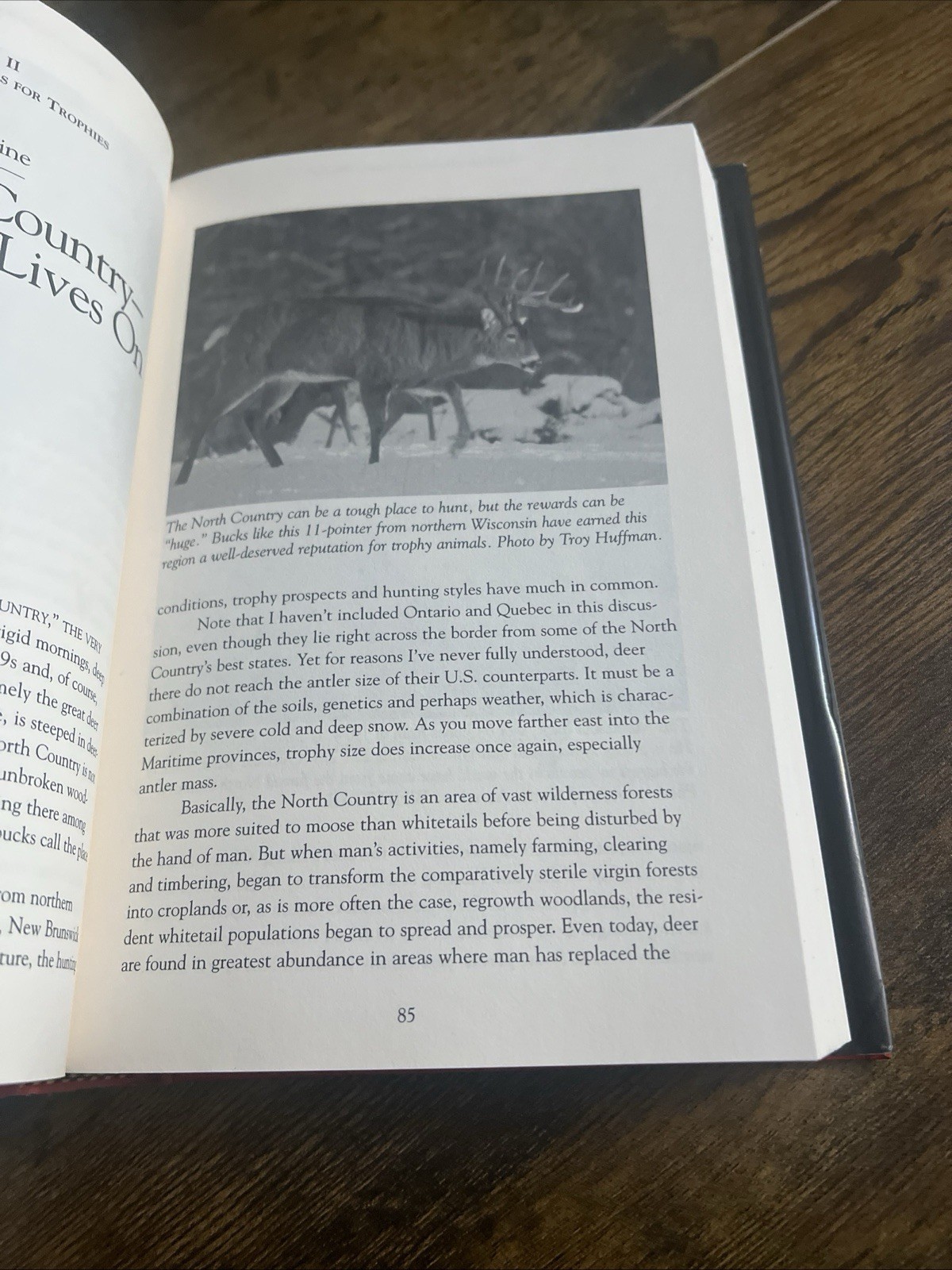 Advanced Strategies for Trophy Whitetails by David Morris Signed!
