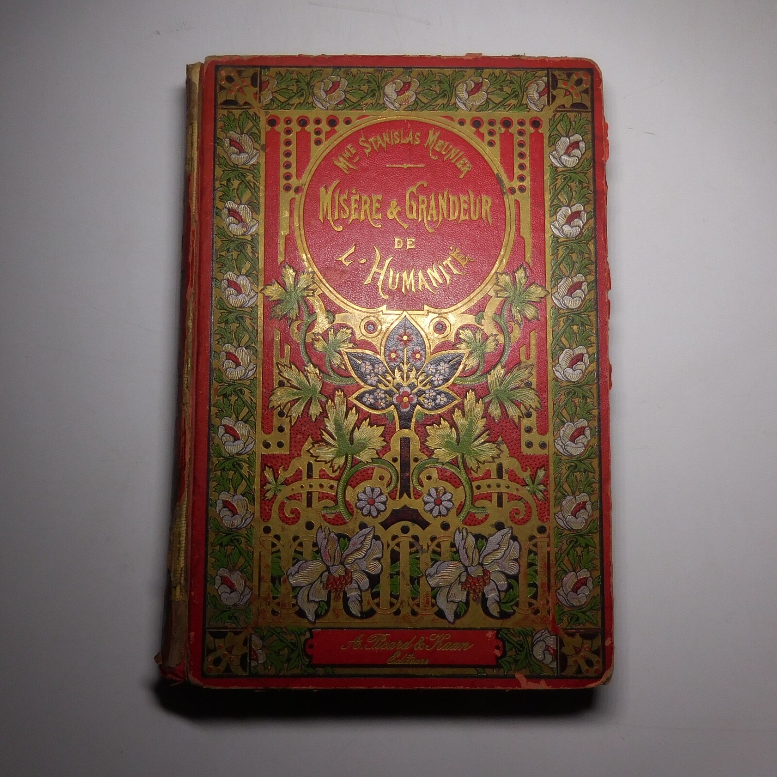 N25.4 Misery Size Humanity Primitive 1889 Illustrated Anthropology Mrs. Meunier