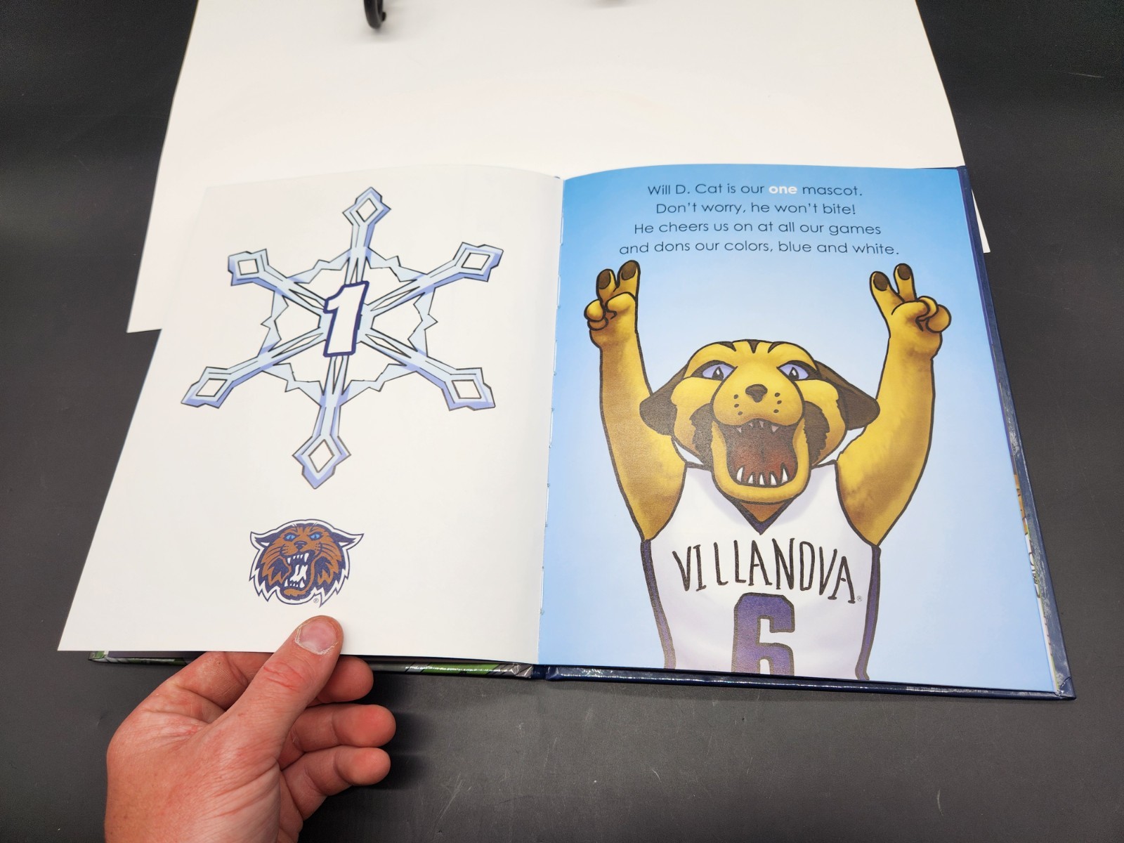 COUNT ON VILLANOVA: FUN FACTS FROM 1 TO 12 By Robin Ward – Hardcover