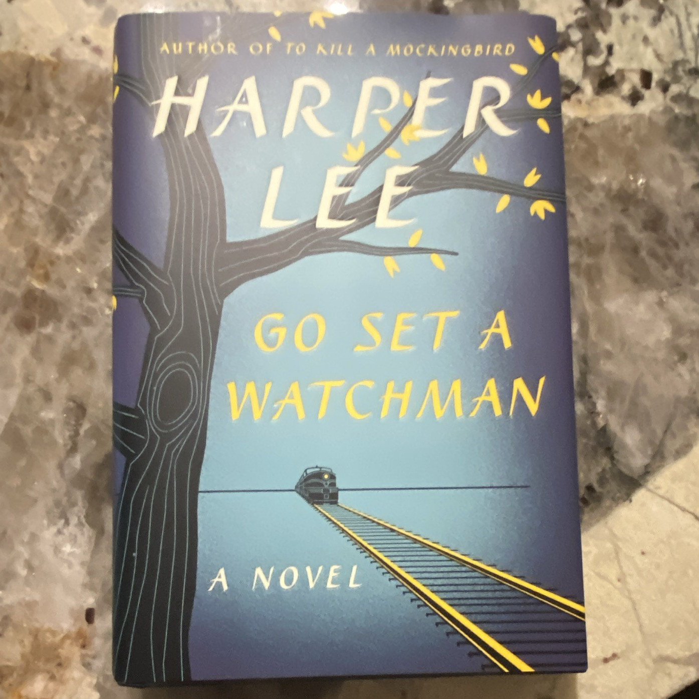 Harper Lee Go Set a Watchman Novel Hardcover w/ Dust Jacket English