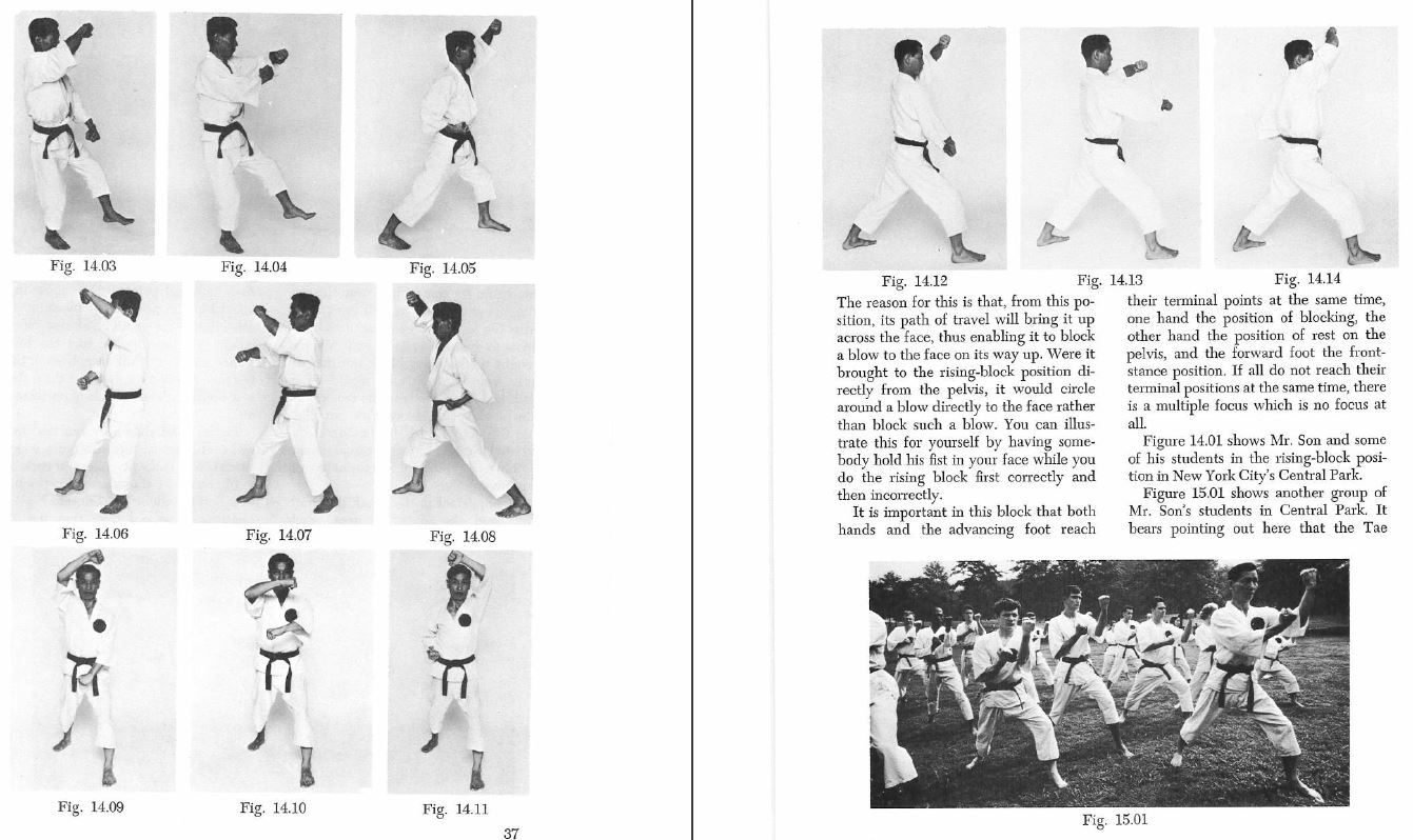 184 BOOKS – Black Belt – Martial Arts Expertise Discipline Skill Training-CD/DVD
