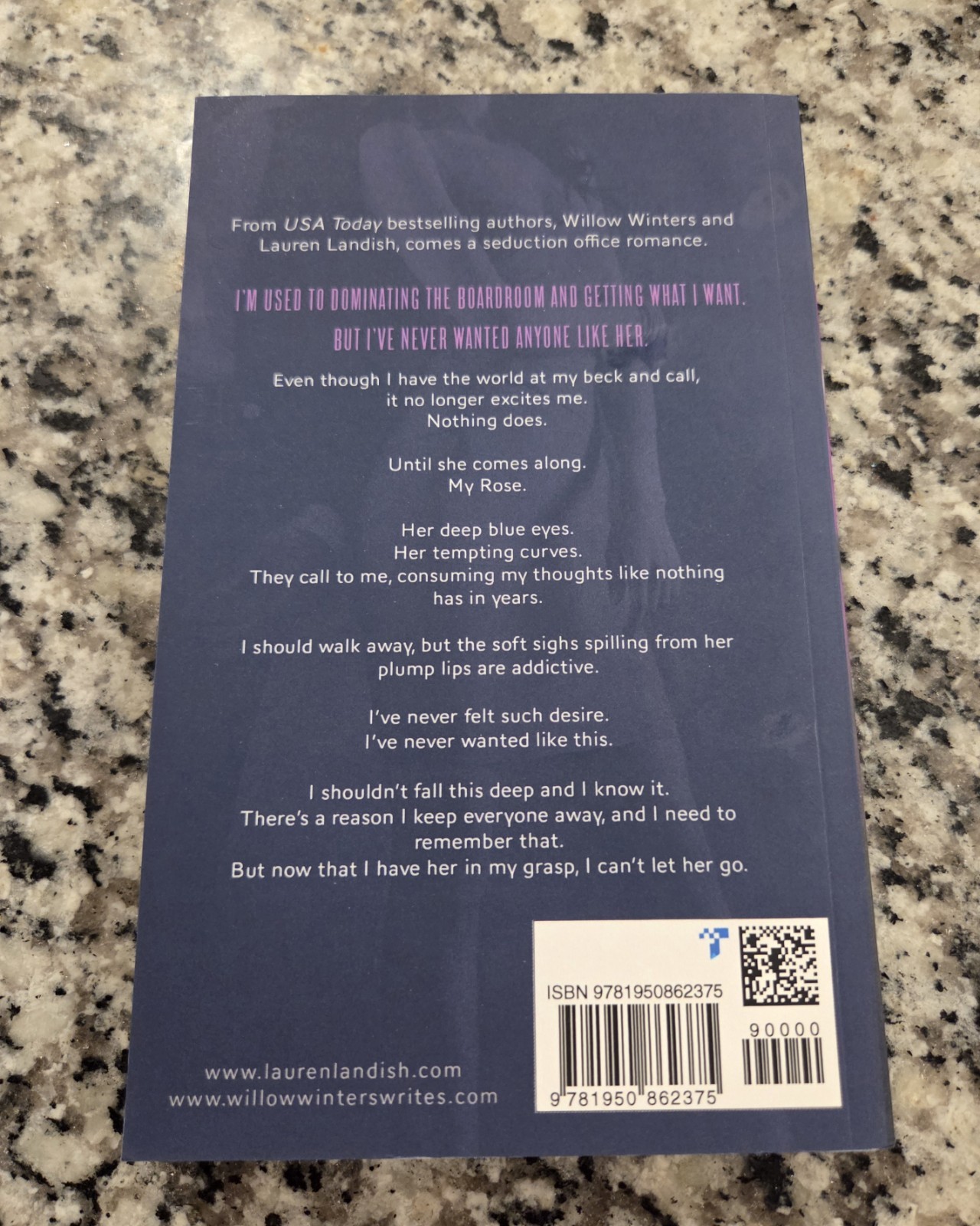 Mr. CEO Paperback Lauren Landish & Willow Winters Book