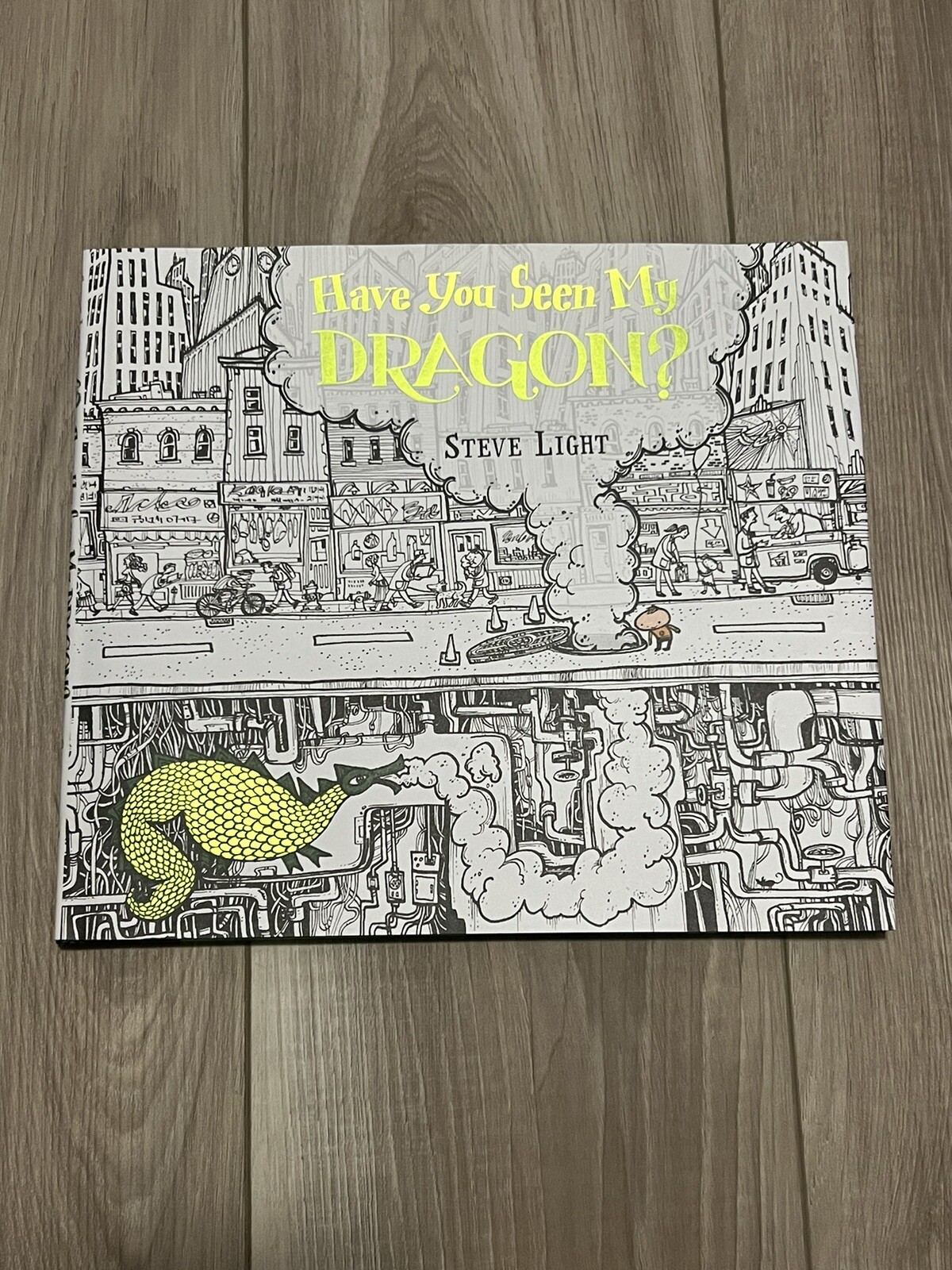 Have You Seen My Dragon? by Steve Light (2014, Picture Book)