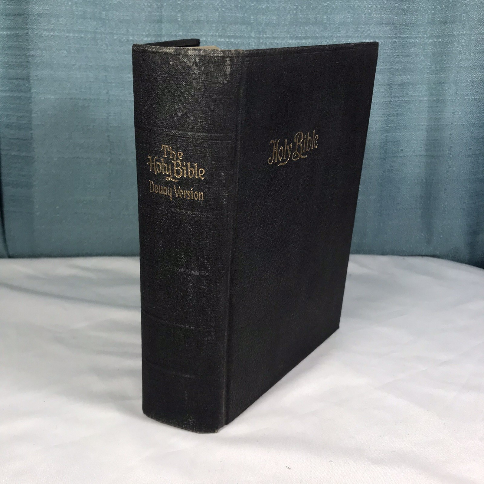 The Holy Bible Douay Version John Murphy Company Genuine Leather 1914